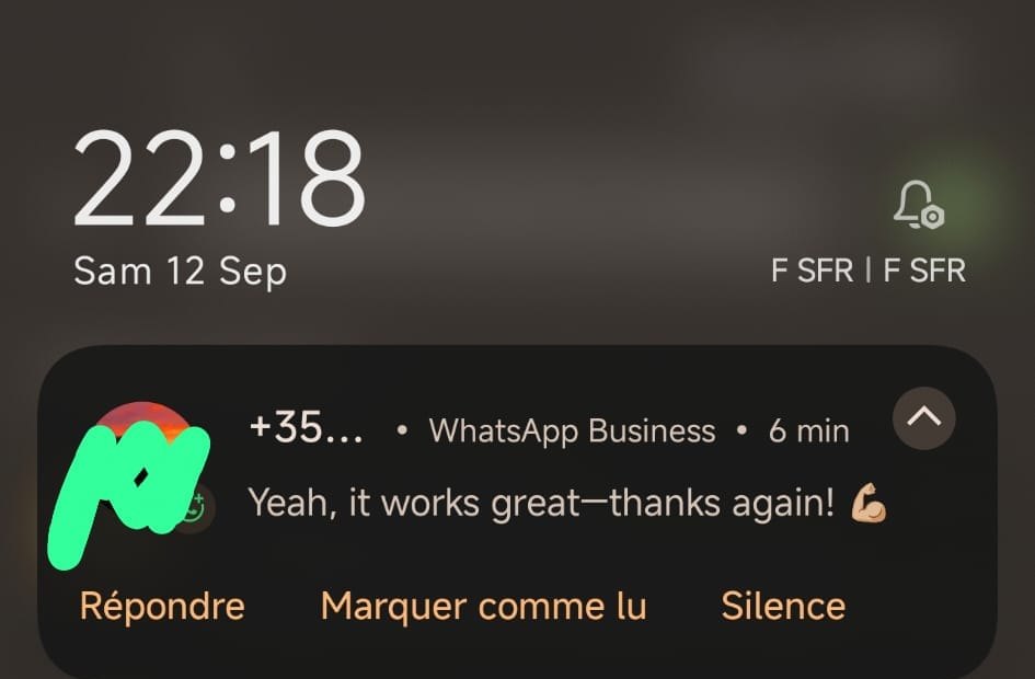 Screenshot recensione cliente WhatsApp
