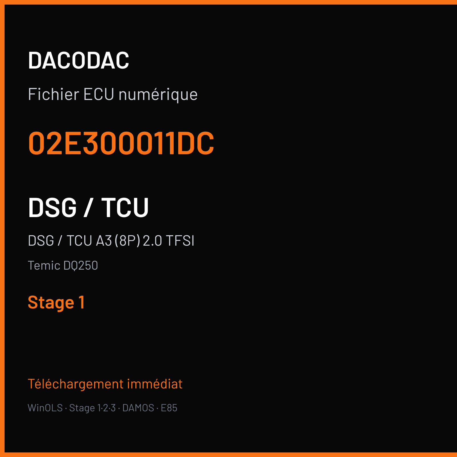 DSG / TCU A3 (8P) 2.0 TFSI (2006) — Temic DQ250 — 02E300011DC — Stage 1
