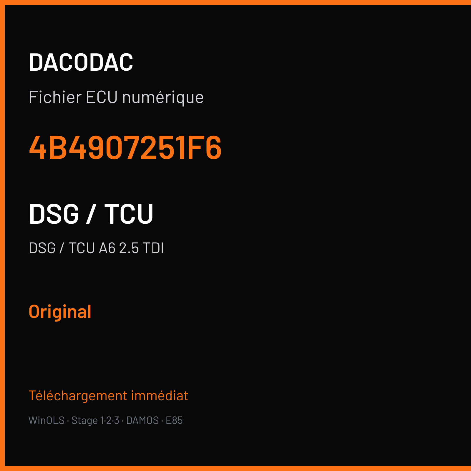 DSG / TCU A6 2.5 TDI — 4B4907251F6 — Original