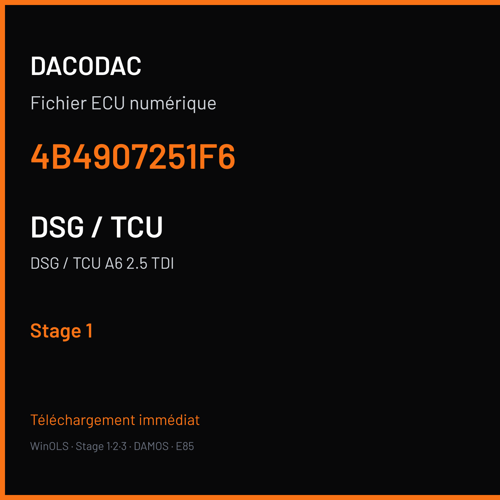 DSG / TCU A6 2.5 TDI — 4B4907251F6 — Stage 1
