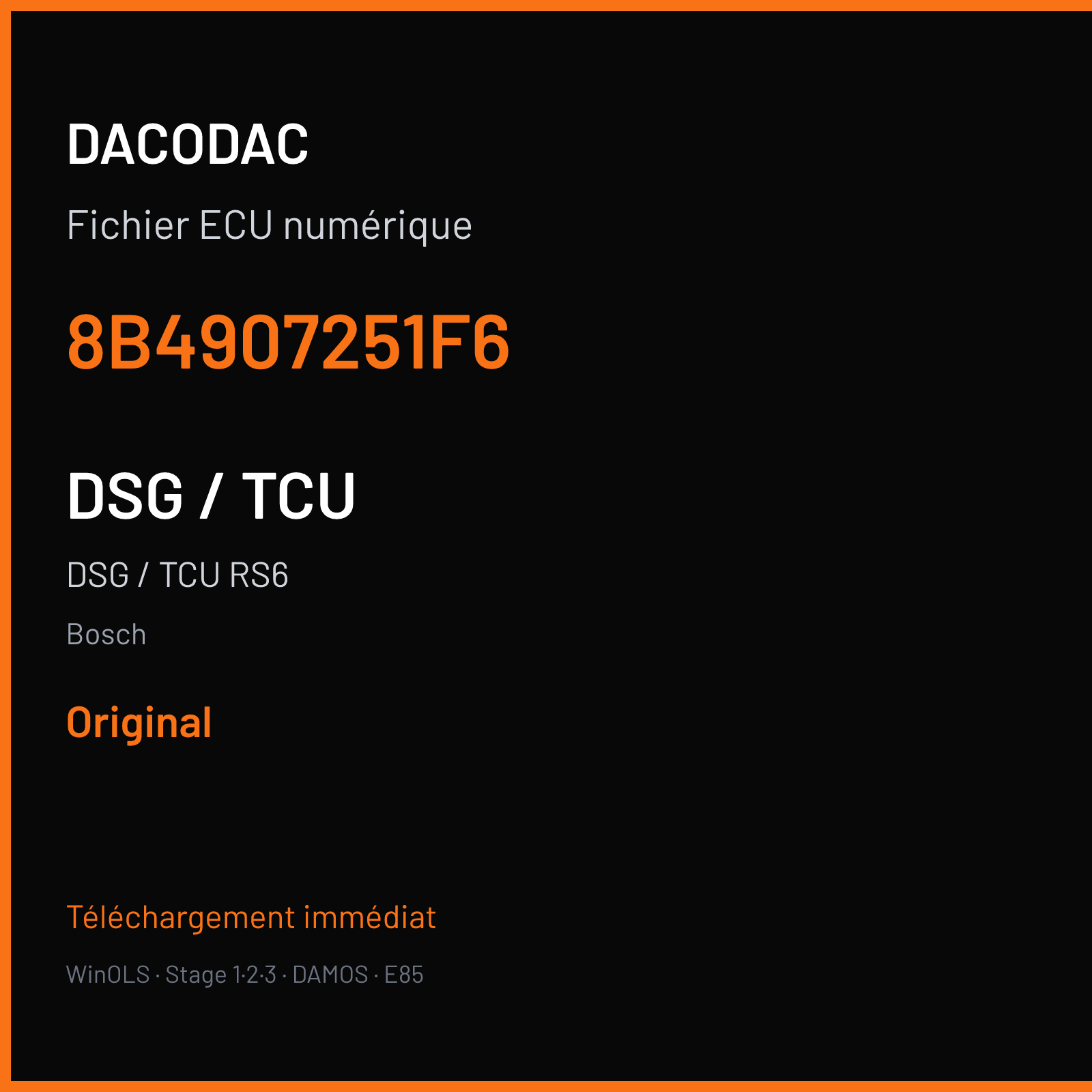 DSG / TCU RS6 — Bosch — 8B4907251F6 — Original