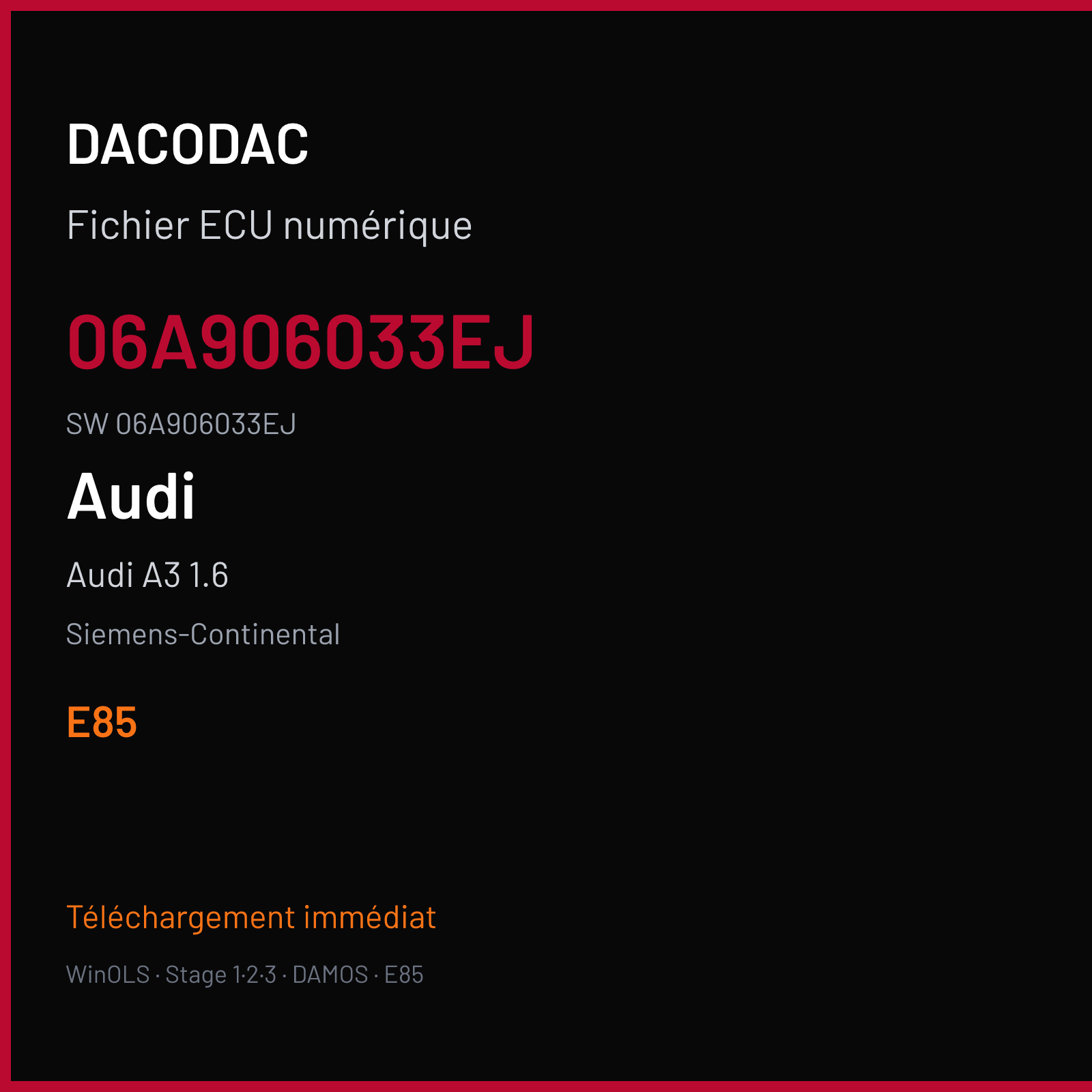 Audi A3 1.6 — Siemens-Continental — 06A906033EJ · 06A906033EJ · S713117000000 — E85