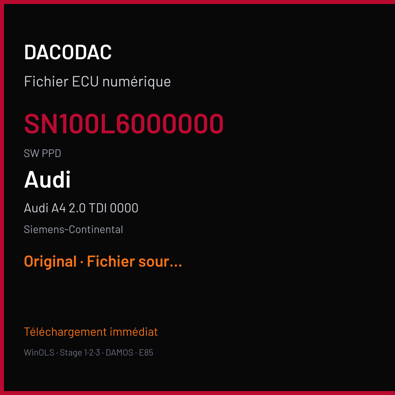 Audi A4 2.0 TDI 0000 — Siemens-Continental — SN100L6000000 · PPD — Original