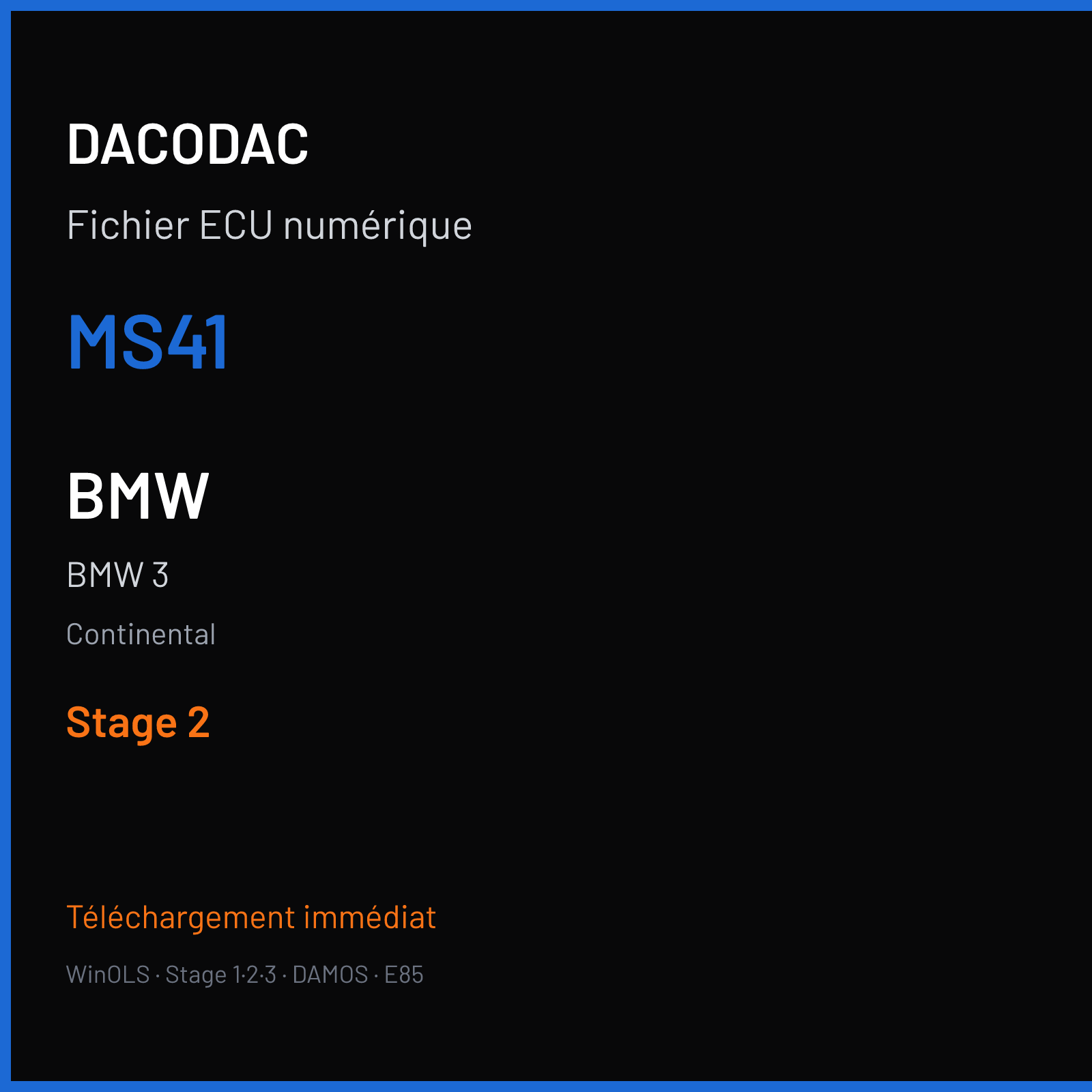 BMW 3 — Continental — MS41 — Stage 2