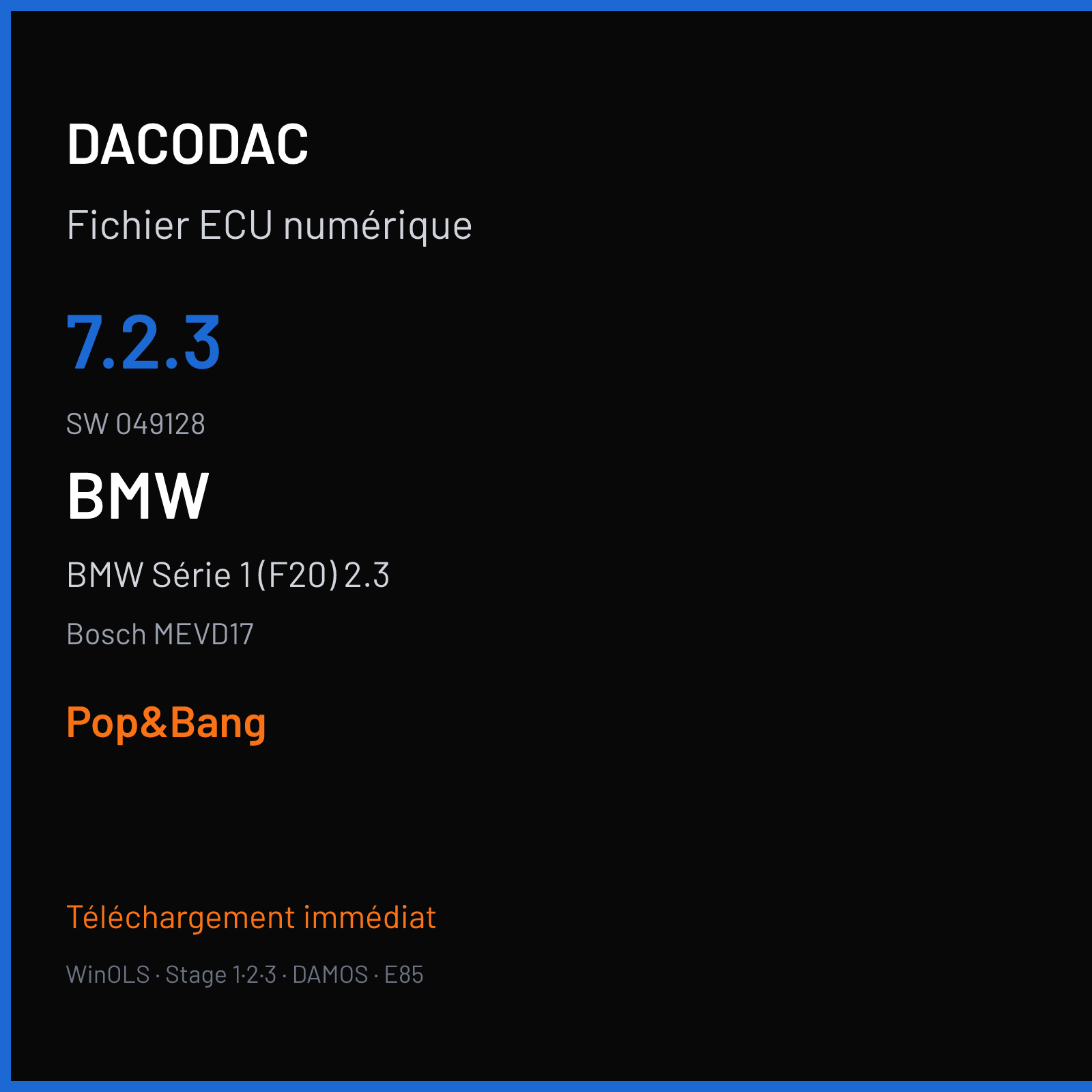 BMW Série 1 (F20) 2.3 — Bosch MEVD17 — 7.2.3 · 049128 — Pop&Bang