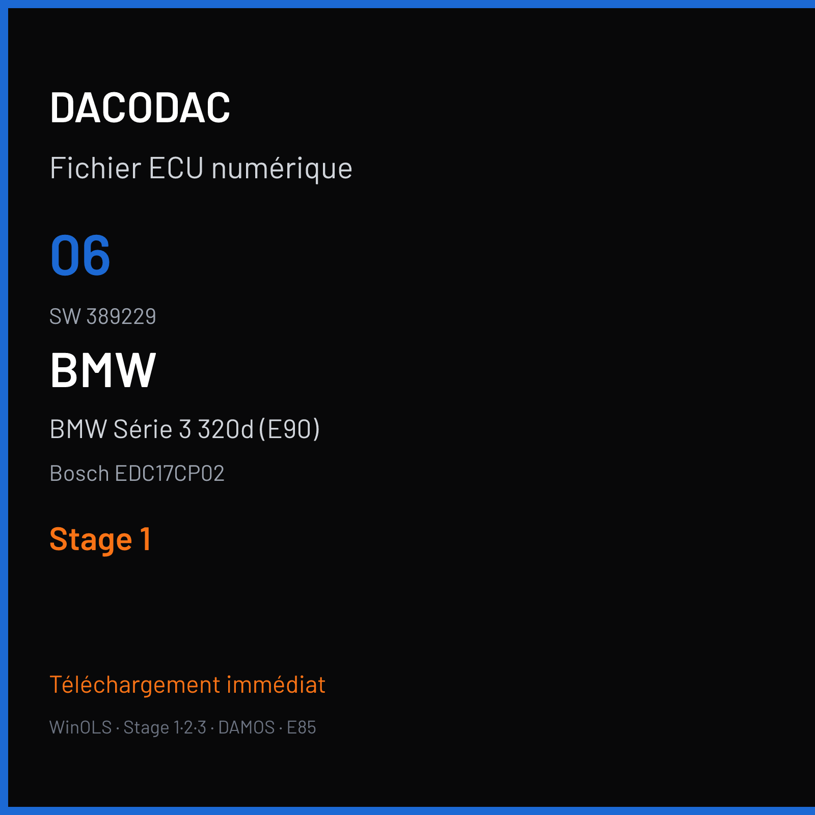 BMW Série 3 320d (E90) (2007) — Bosch EDC17CP02 — 06 · 389229 — Stage 1
