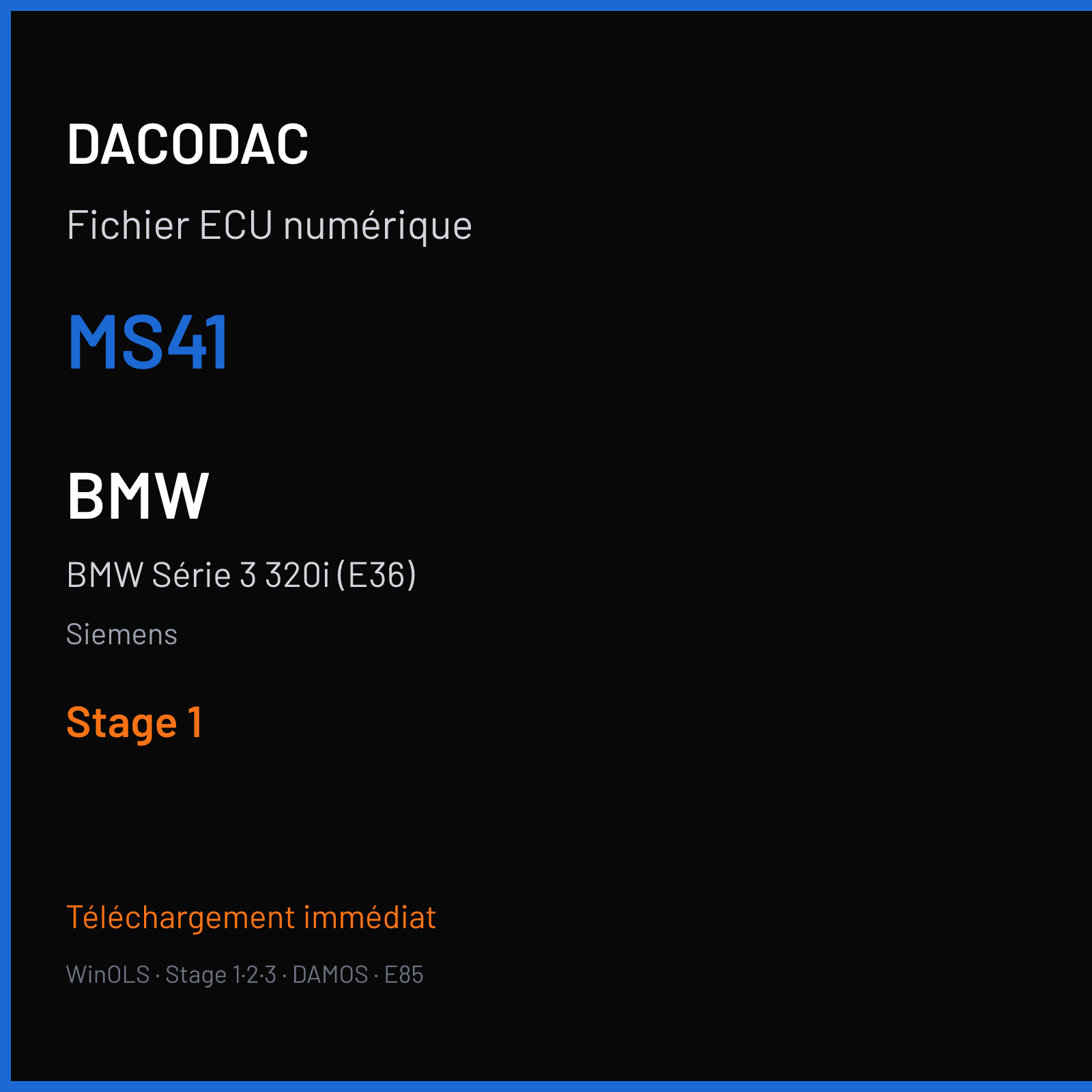 BMW Série 3 320i (E36) (1998) — Siemens — MS41 — Stage 1