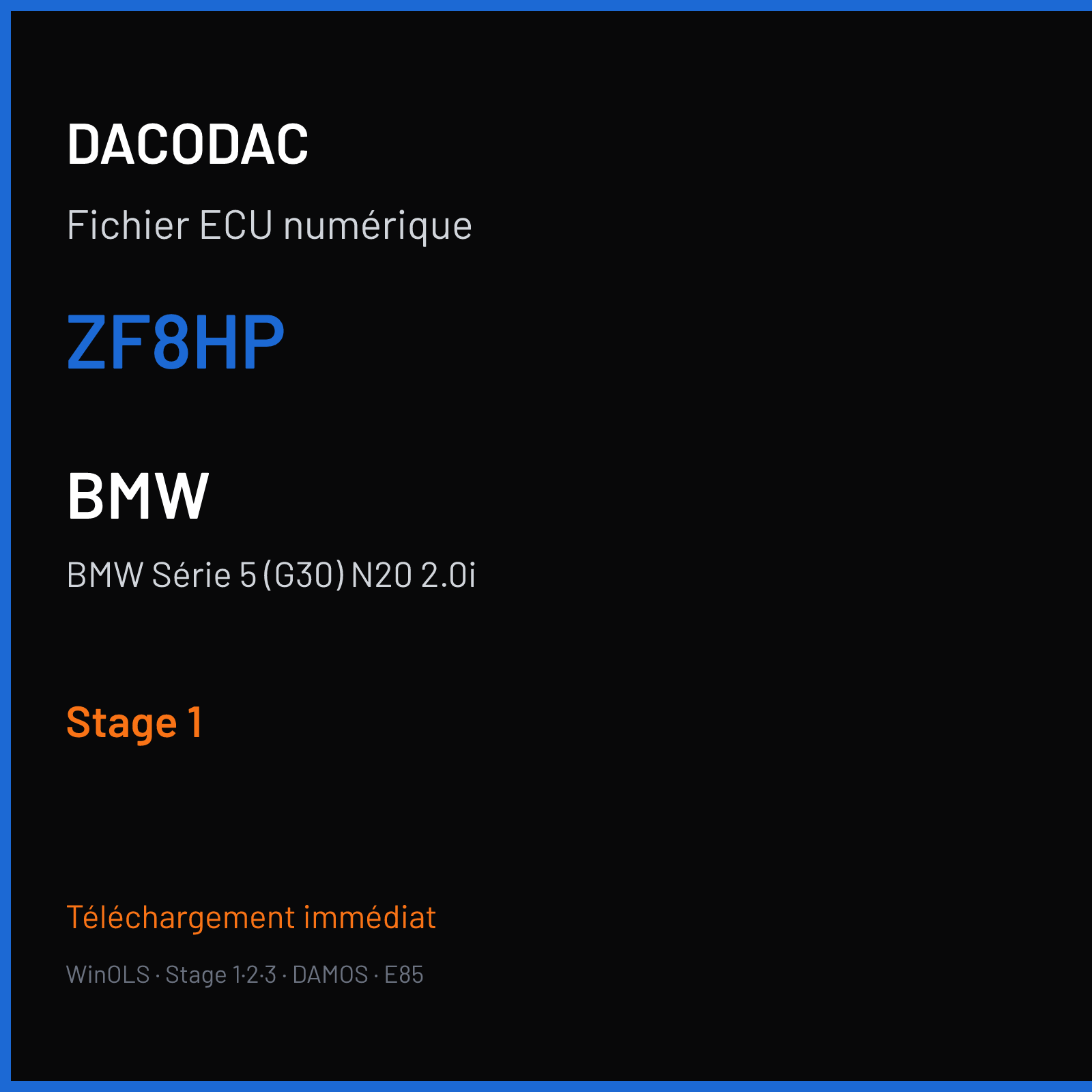 BMW Série 5 (G30) N20 2.0i (2019) — ZF8HP — Stage 1