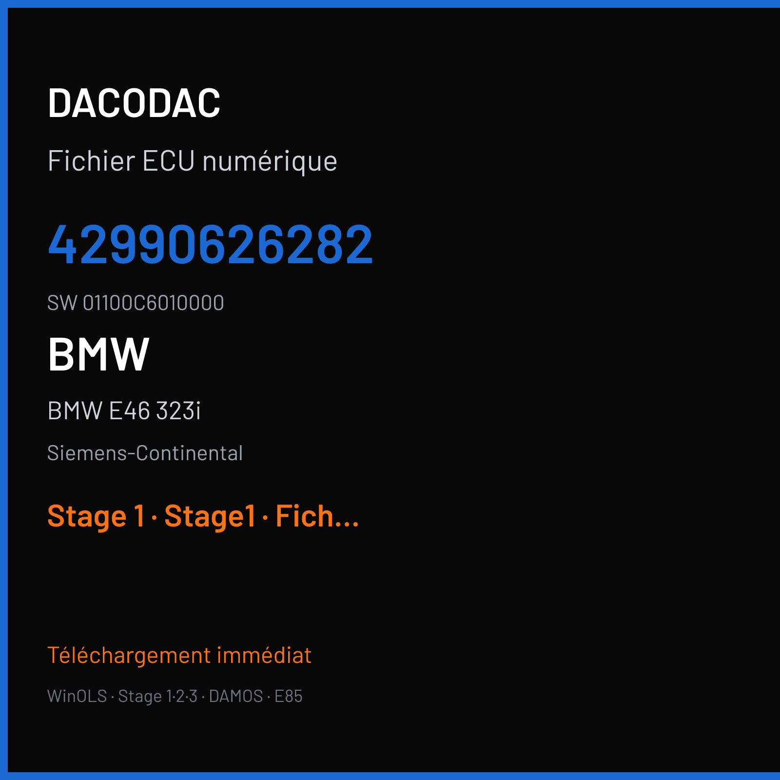 BMW E46 323i (1999) — Siemens-Continental — 42990626282 · 01100C6010000 — Stage 1