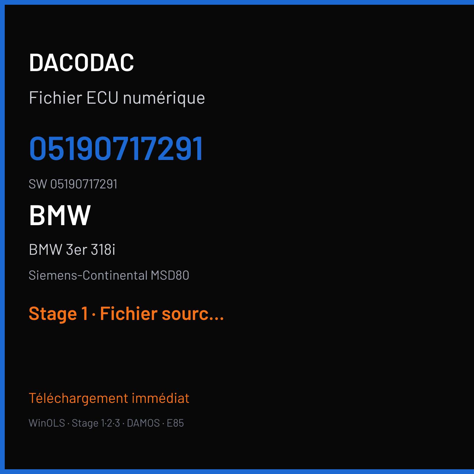 BMW 3er 318i 143 ch (2010) — Siemens-Continental MSD80 — 05190717291 · 05190717291 · 4RDQID — Stage 1