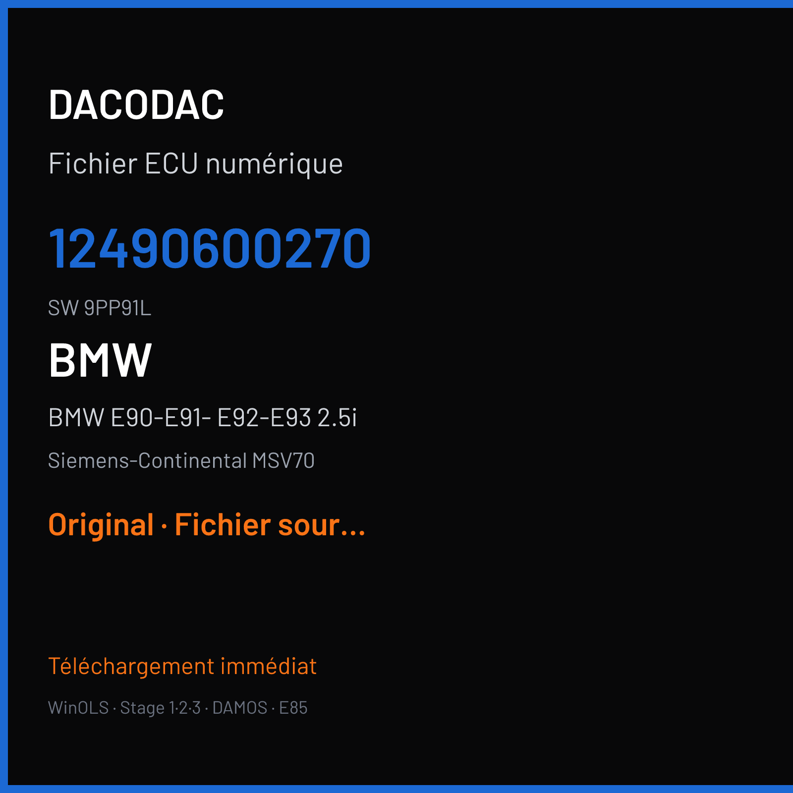 BMW E90-E91- E92-E93 2.5i (2005) — Siemens-Continental MSV70 — 12490600270 · 9PP91L — Original