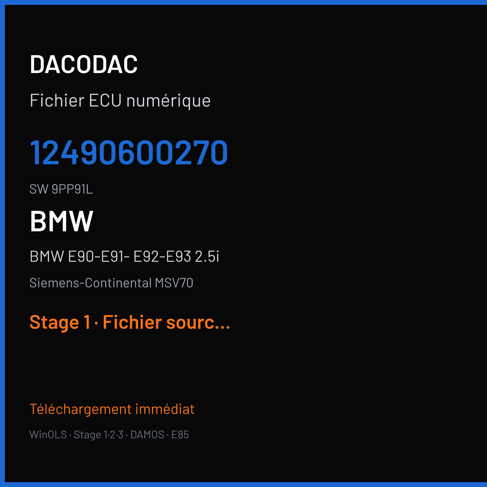 BMW E90-E91- E92-E93 2.5i (2005) — Siemens-Continental MSV70 — 12490600270 · 9PP91L — Stage 1