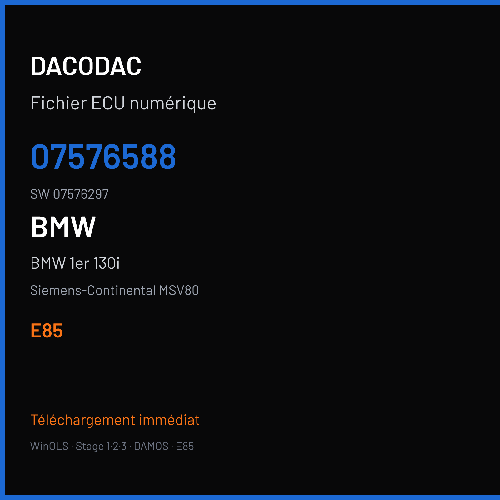 BMW 1er 130i — Siemens-Continental MSV80 — 07576588 · 07576297 · 9QKMF3 — E85