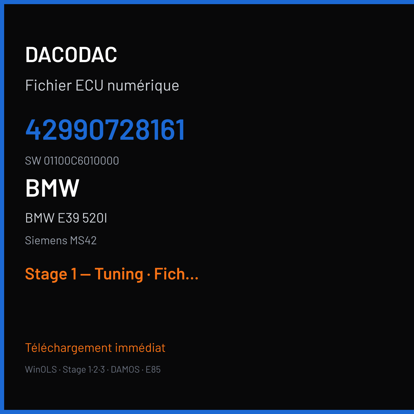 BMW E39 520I (1999) — Siemens MS42 — 42990728161 · 01100C6010000 — Stage 1 — Tuning