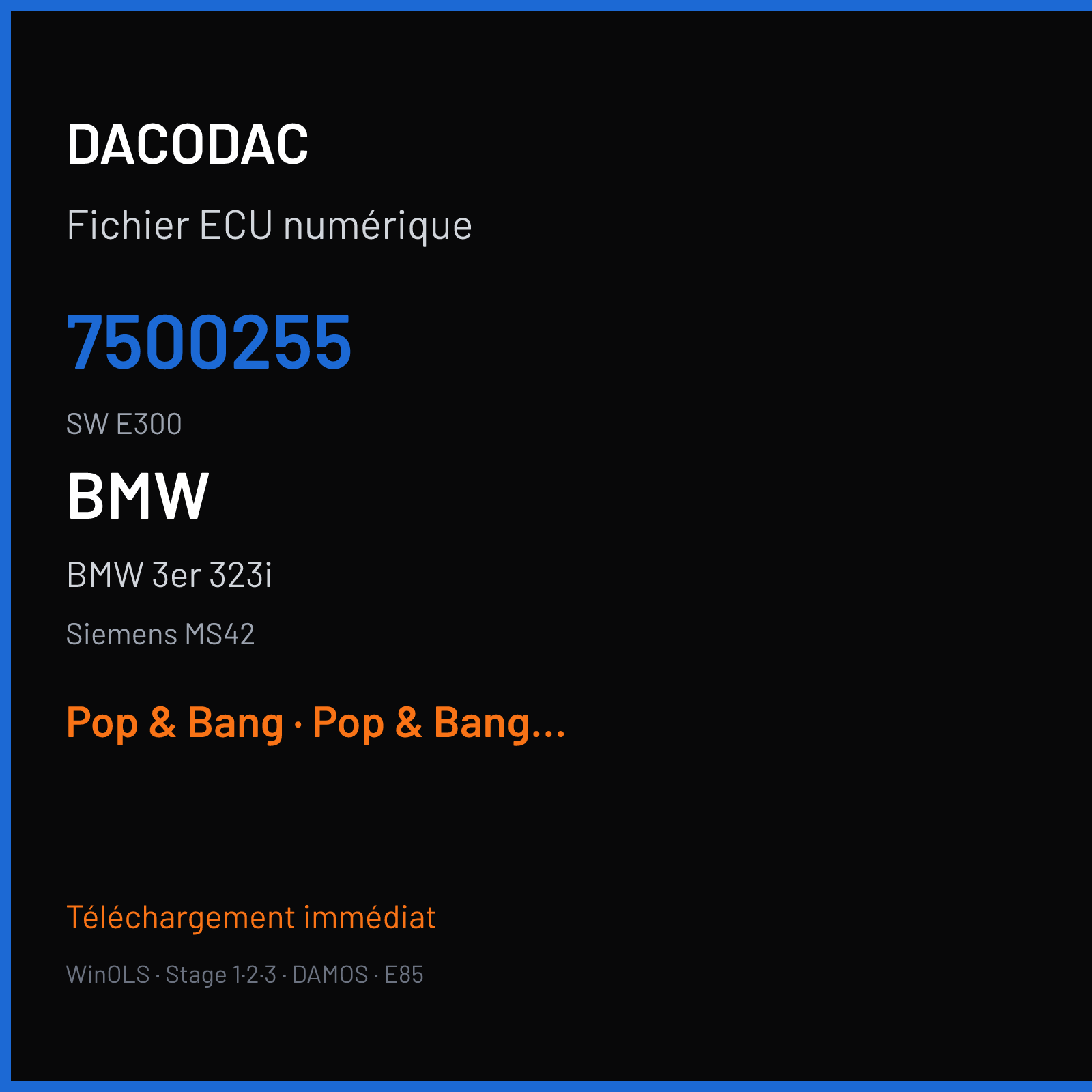 BMW 3er 323i 170 ch (2000) — Siemens MS42 — 7500255 · E300 — Pop & Bang
