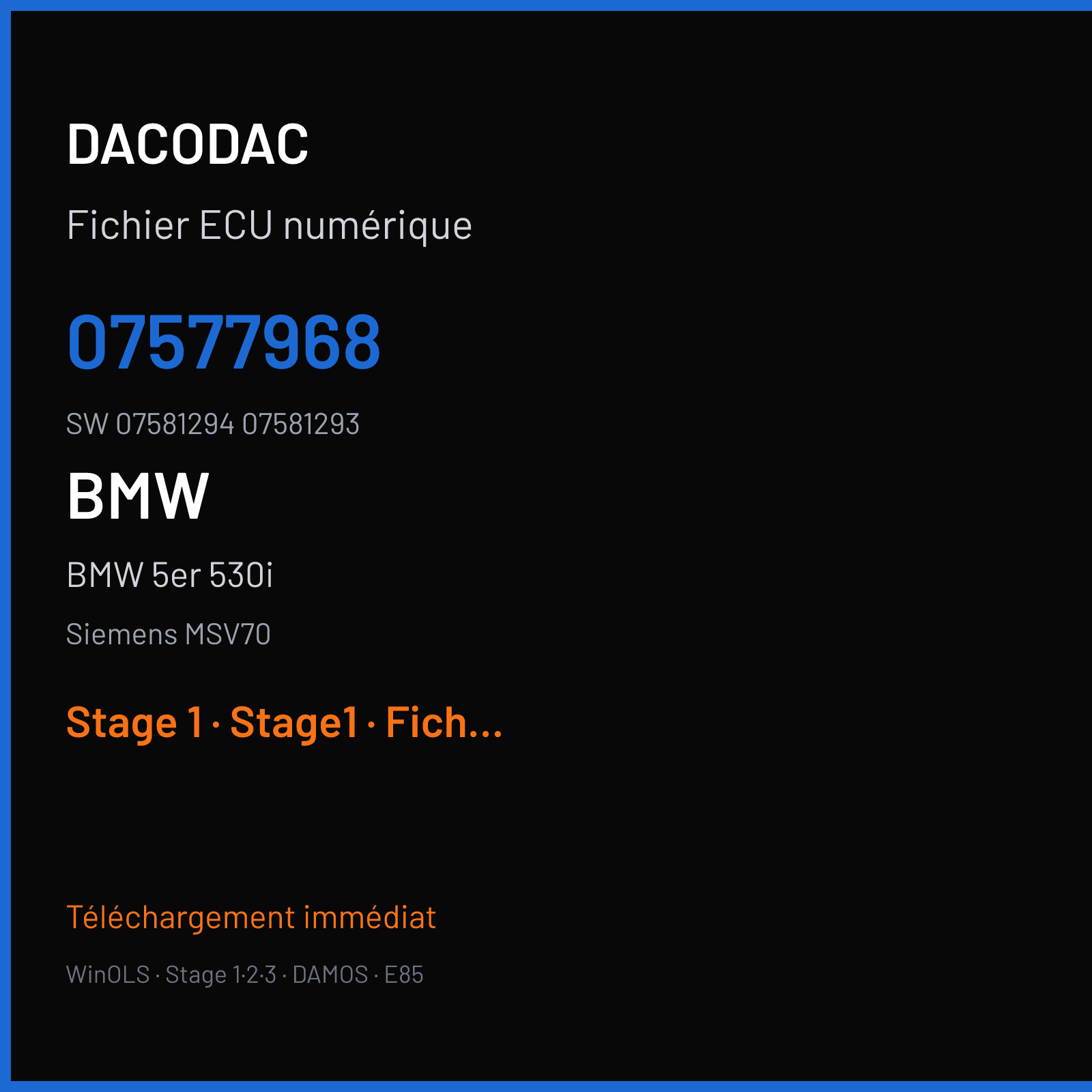 BMW 5er 530i (2005) — Siemens MSV70 — 07577968 · 07581294 07581293 — Stage 1