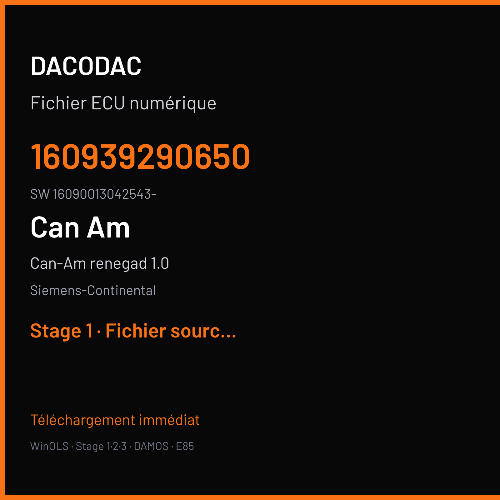 Can-Am renegad 1.0 — Siemens-Continental — 160939290650 · 16090013042543- · QY2JXI10 — Stage 1