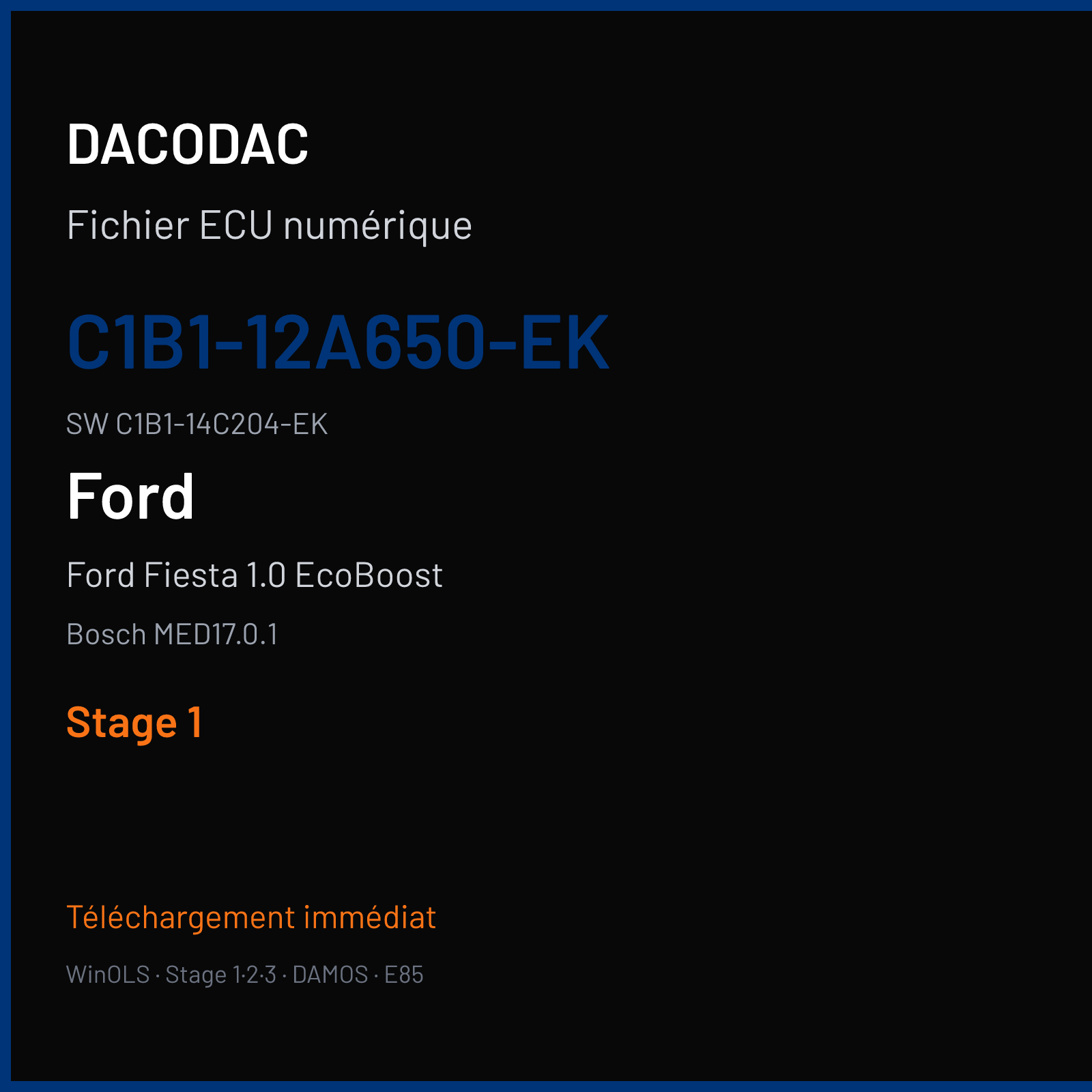Ford Fiesta 1.0 EcoBoost 125 ch (2014) — Bosch MED17.0.1 — C1B1-12A650-EK · C1B1-14C204-EK · 542947 — Stage 1
