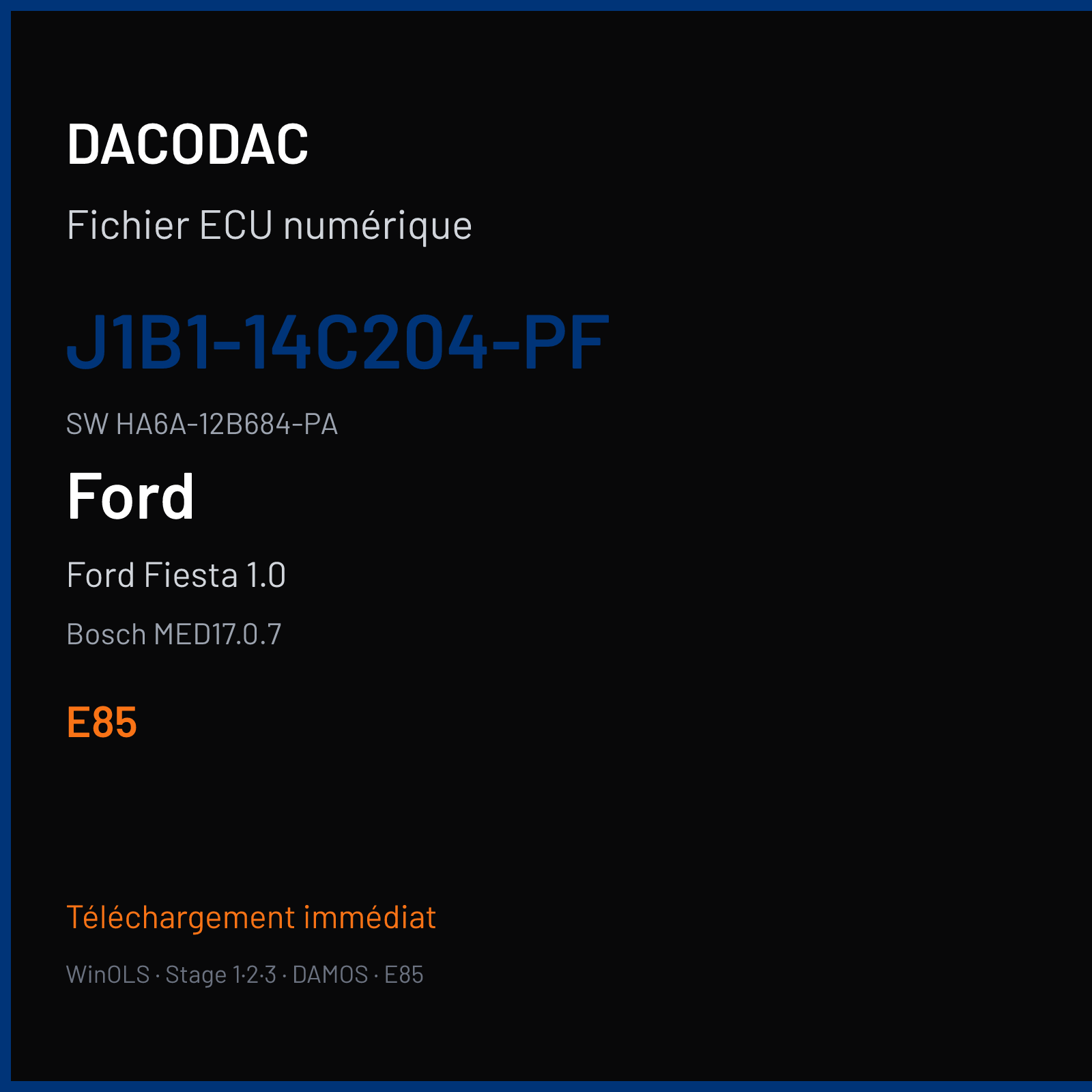 Ford Fiesta 1.0 — Bosch MED17.0.7 — J1B1-14C204-PF · HA6A-12B684-PA · 134802168153 — E85
