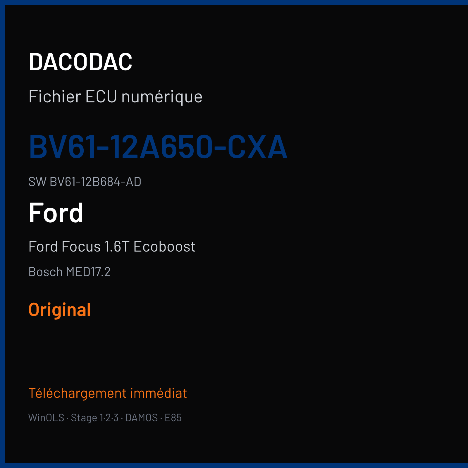 Ford Focus 1.6T Ecoboost 150 ch (2013) — Bosch MED17.2 — BV61-12A650-CXA · BV61-12B684-AD · 041838 — Original