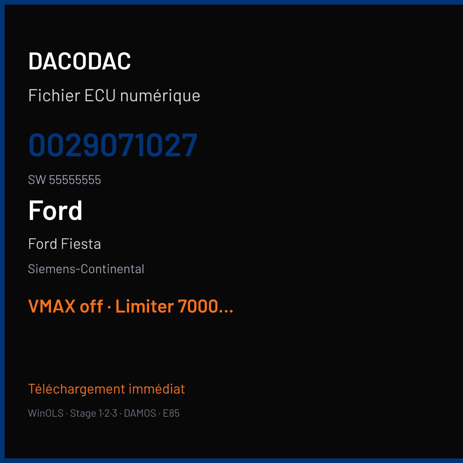 Ford Fiesta — Siemens-Continental — 0029071027 · 55555555 · F381090000000 — VMAX off