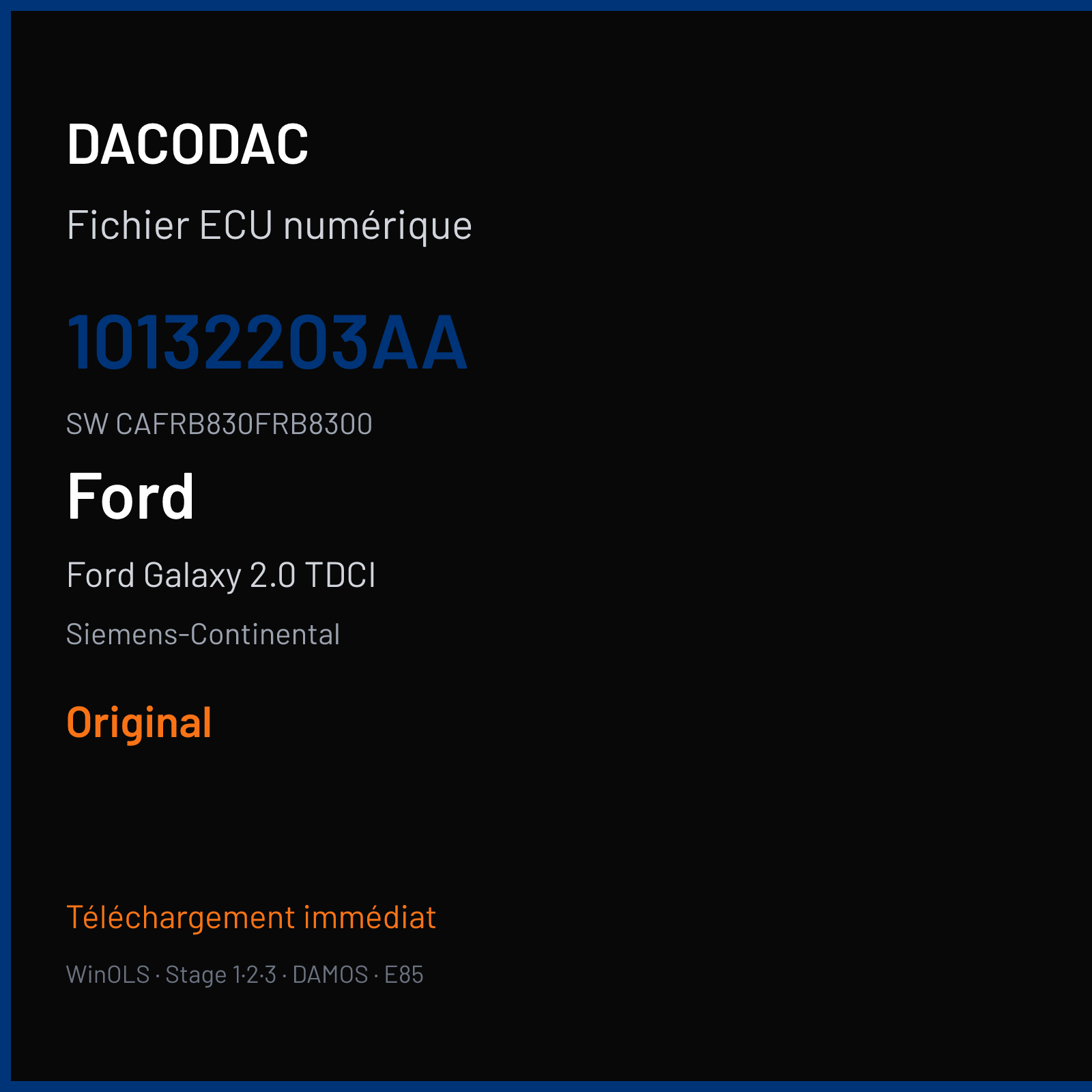 Ford Galaxy 2.0 TDCI 140 ch (2008) — Siemens-Continental — 10132203AA · CAFRB830FRB8300 · FRBE083000000 — Original