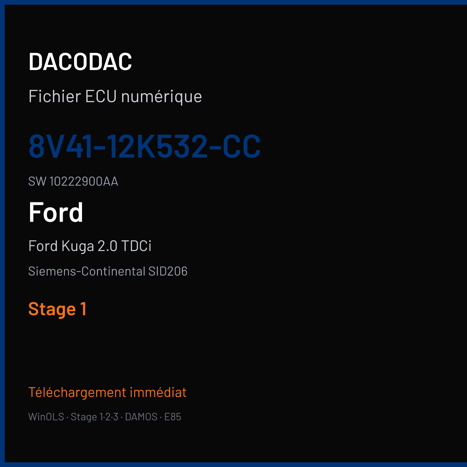 Ford Kuga 2.0 TDCi 136 ch (2009) — Siemens-Continental SID206 — 8V41-12K532-CC · 10222900AA · FR1D0B0000000 — Stage 1