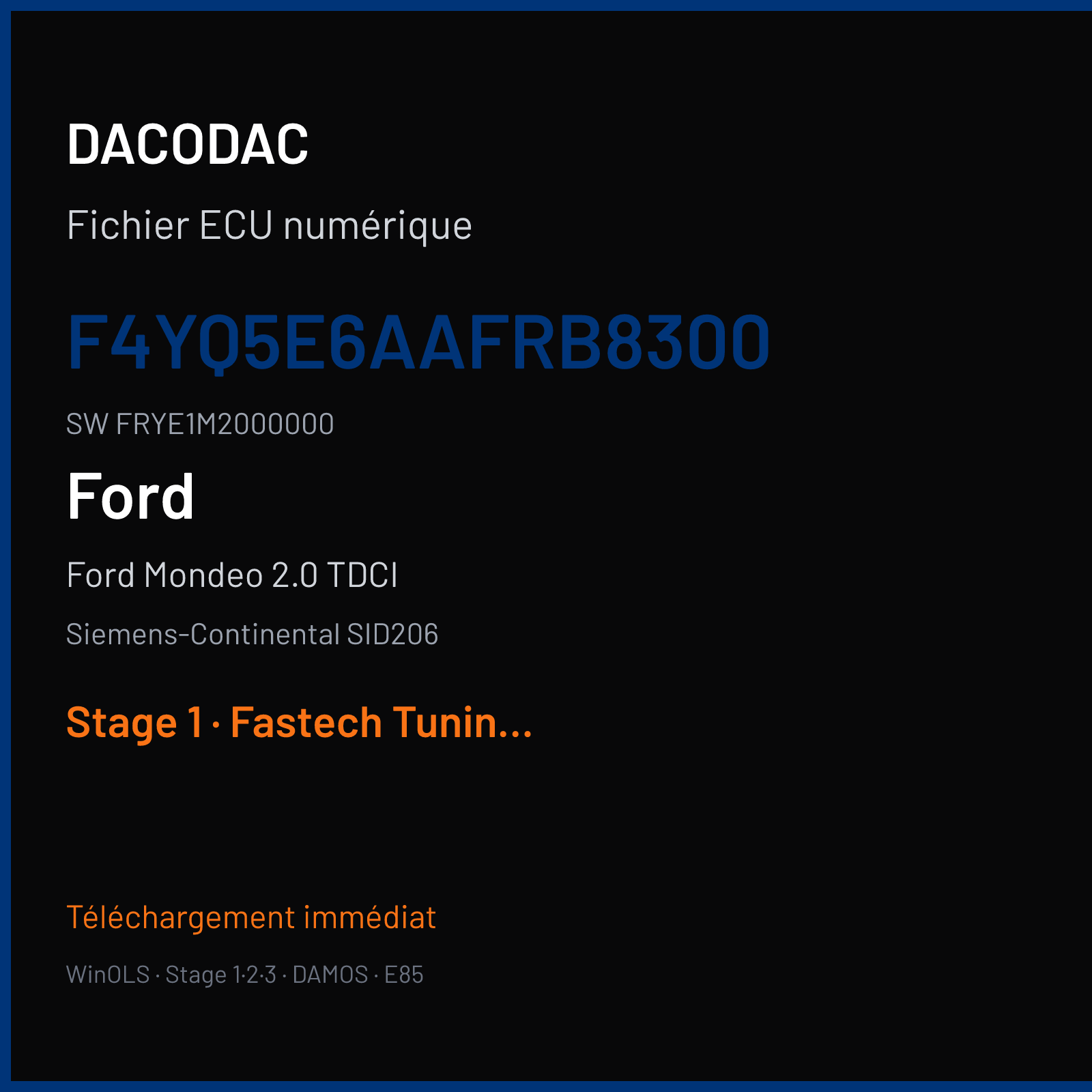 Ford Mondeo 2.0 TDCI (2008) — Siemens-Continental SID206 — F4YQ5E6AAFRB8300 · FRYE1M2000000 — Stage 1