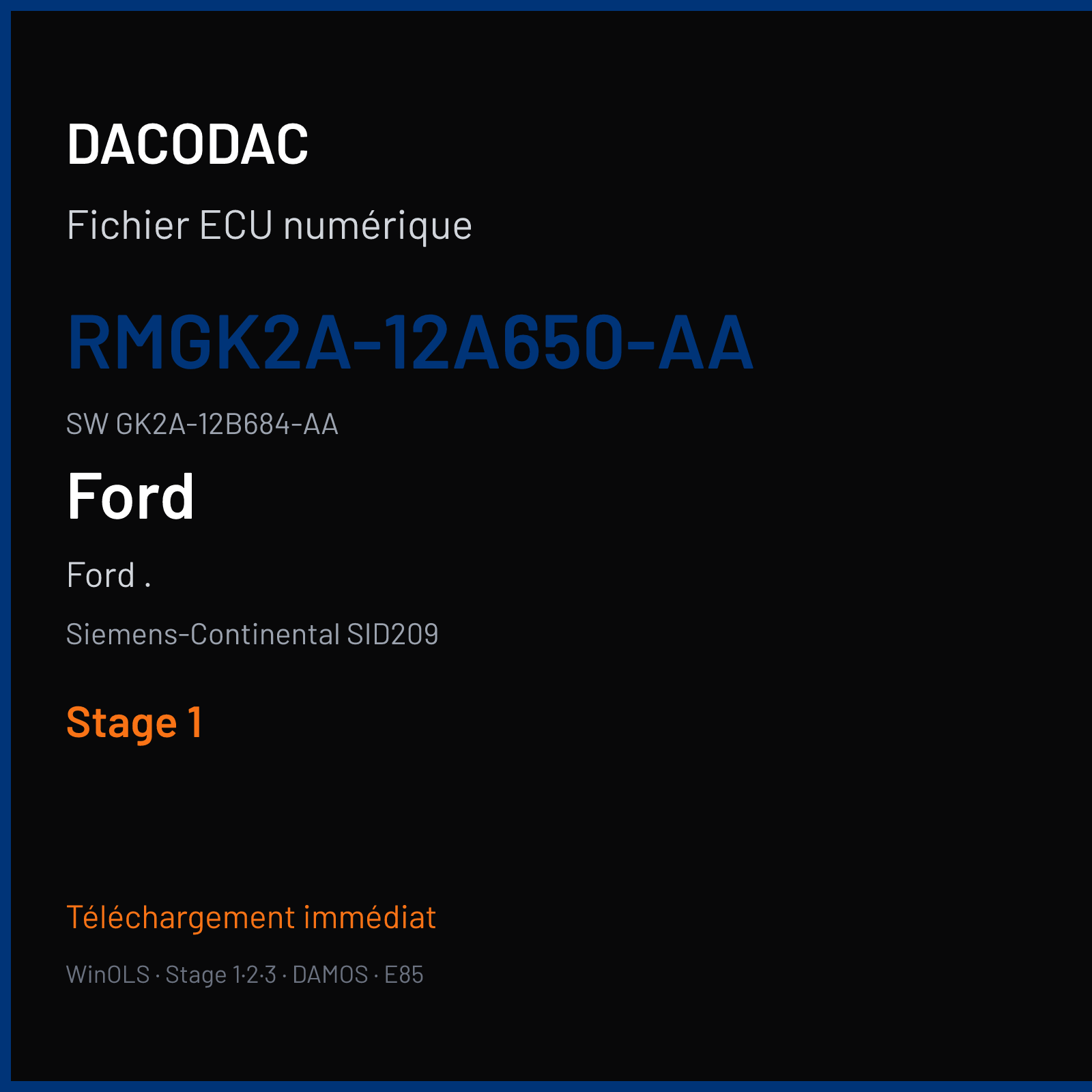 Ford . 130 ch — Siemens-Continental SID209 — RMGK2A-12A650-AA · GK2A-12B684-AA · DS-GK21-12A650-AAH — Stage 1