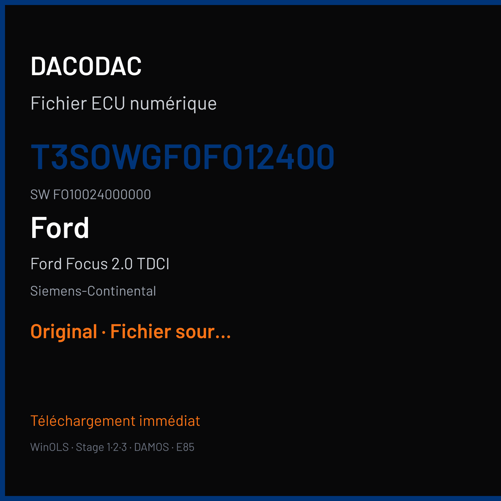 Ford Focus 2.0 TDCI (2005) — Siemens-Continental — T3SOWGF0FO12400 · FO10024000000 — Original