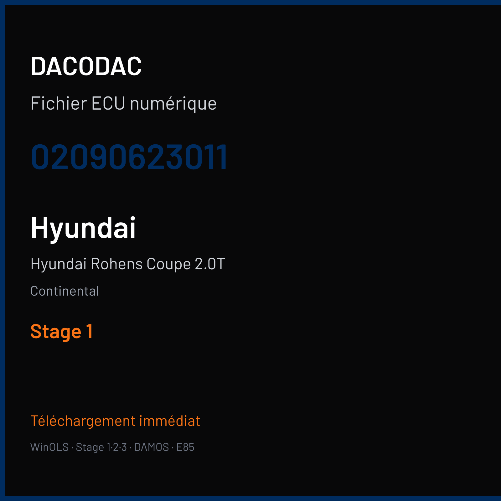 Hyundai Rohens Coupe 2.0T (2009) — Continental — 02090623011 — Stage 1