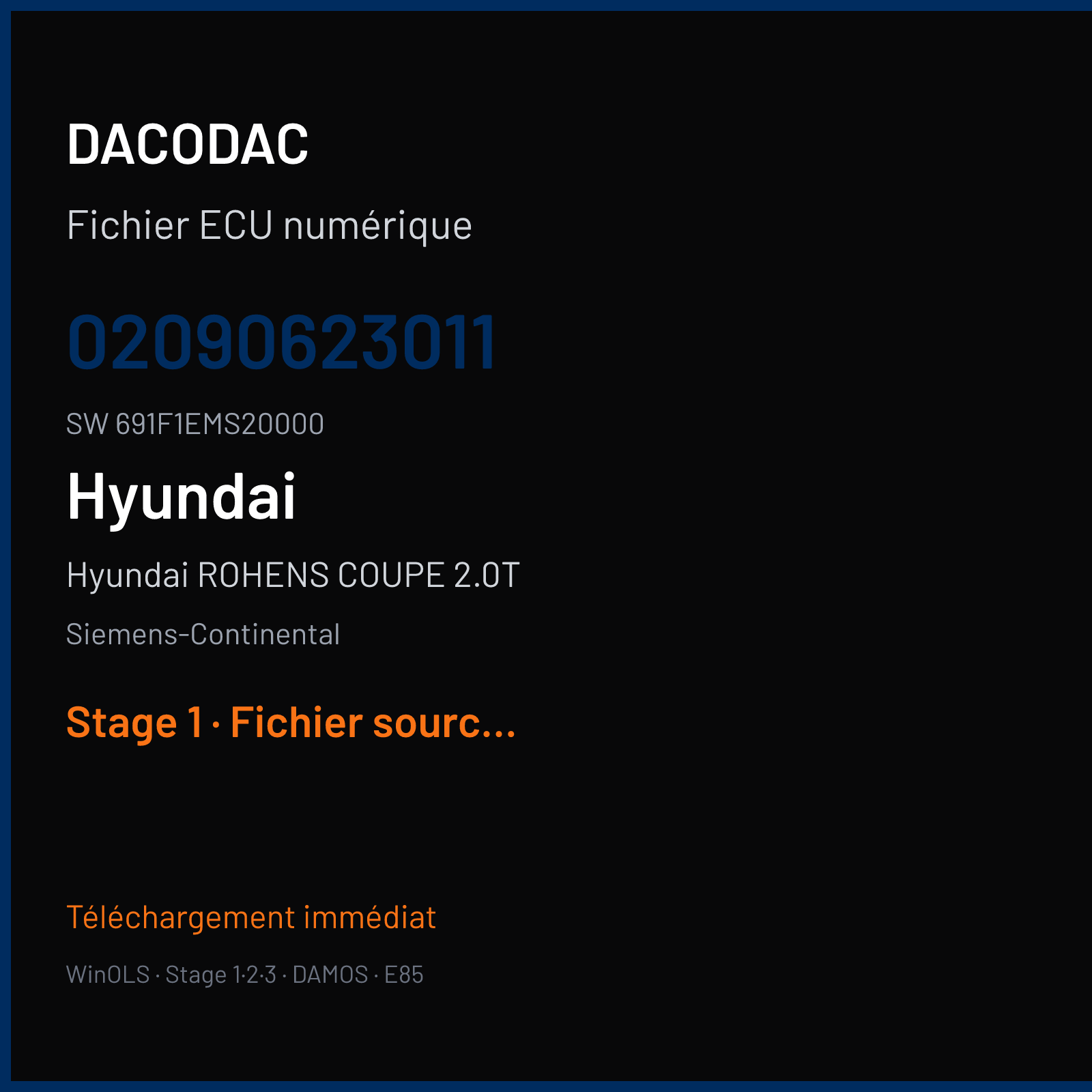 Hyundai ROHENS COUPE 2.0T (2009) — Siemens-Continental — 02090623011 · 691F1EMS20000 — Stage 1