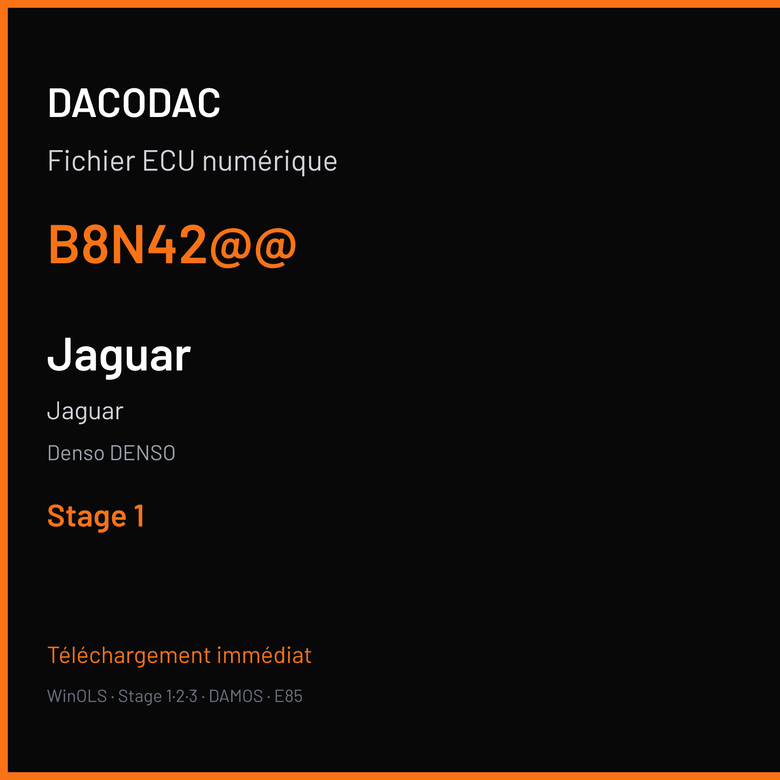Jaguar (2008) — Denso DENSO — B8N42@@ — Stage 1