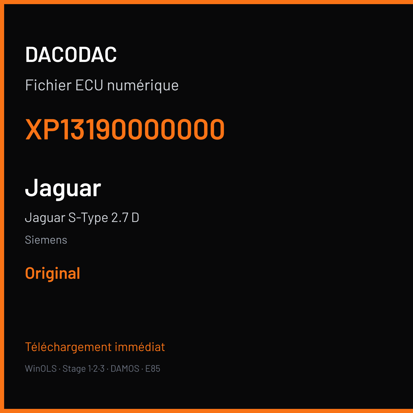 Jaguar S-Type 2.7 D — Siemens — XP13190000000 — Original