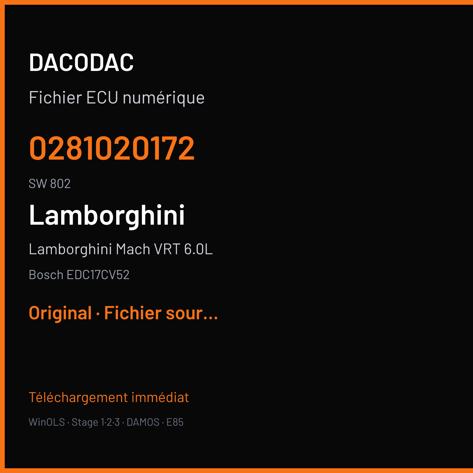 Lamborghini Mach VRT 6.0L 235 ch (2012) — Bosch EDC17CV52 — 0281020172 · 802 · 679 535 001 519867 — Original