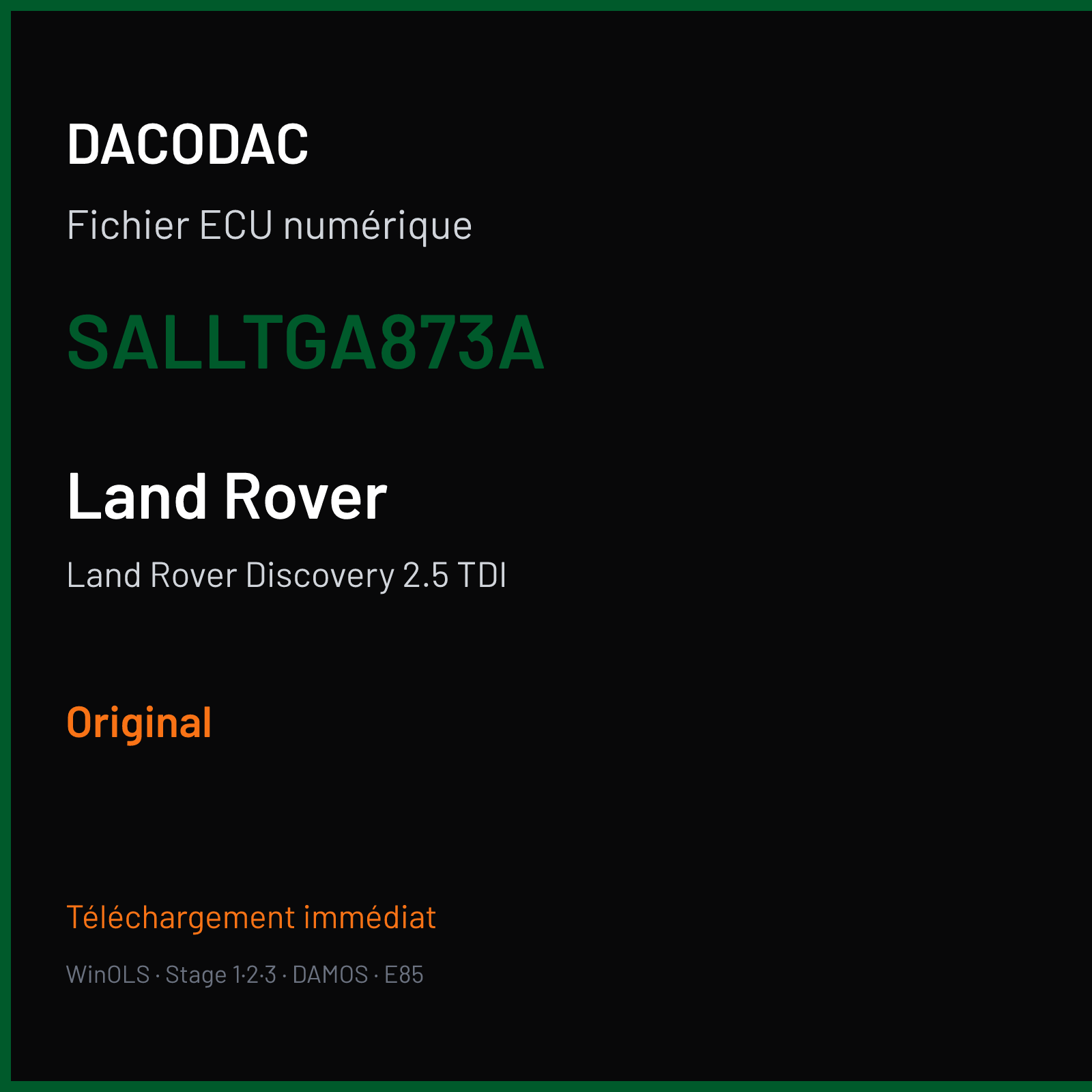 Land Rover Discovery 2.5 TDI (2002) — SALLTGA873A — Original