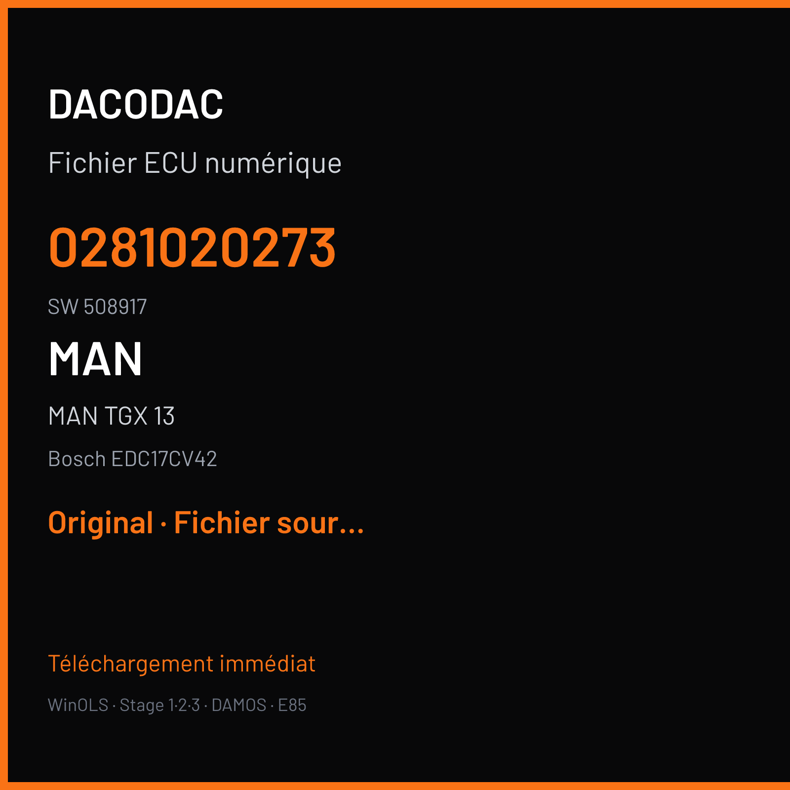 MAN TGX 13 (2014) — Bosch EDC17CV42 — 0281020273 · 508917 — Original