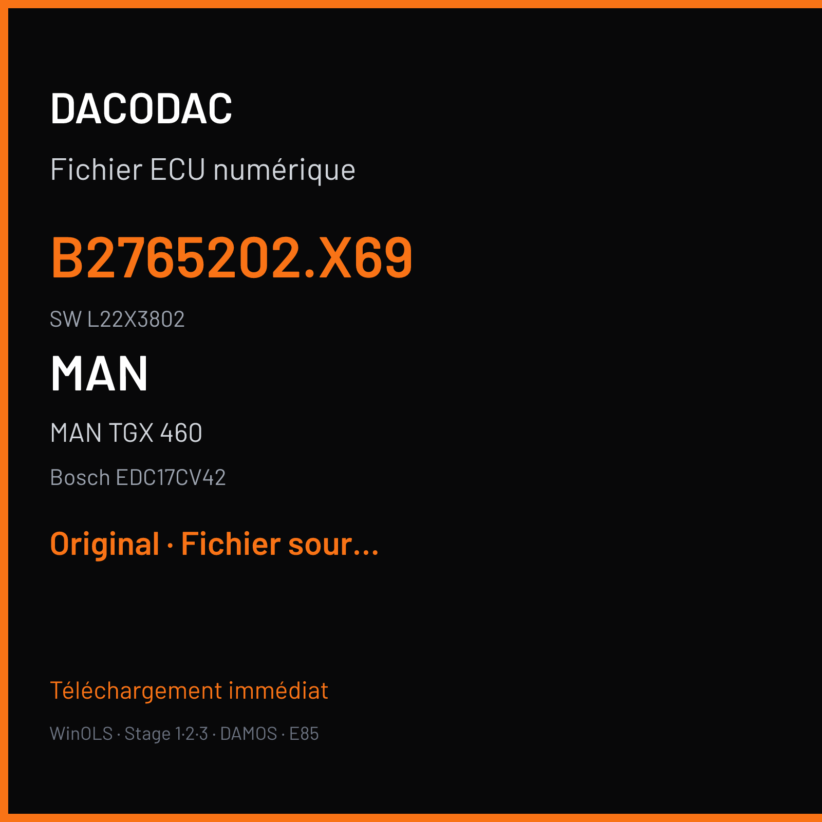MAN TGX 460 (2016) — Bosch EDC17CV42 — B2765202.X69 · L22X3802 — Original