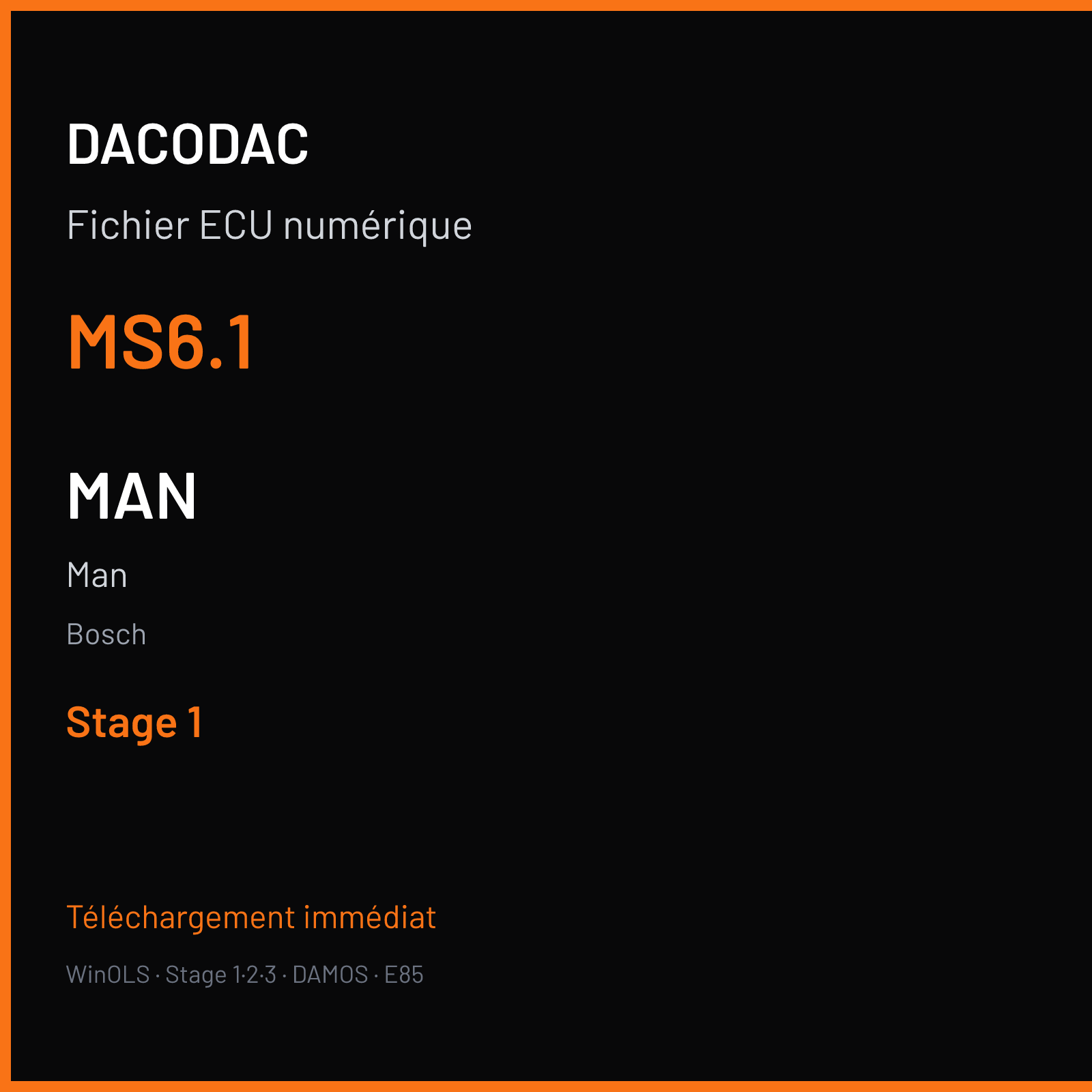 Man (2002) — Bosch — MS6.1 — Stage 1