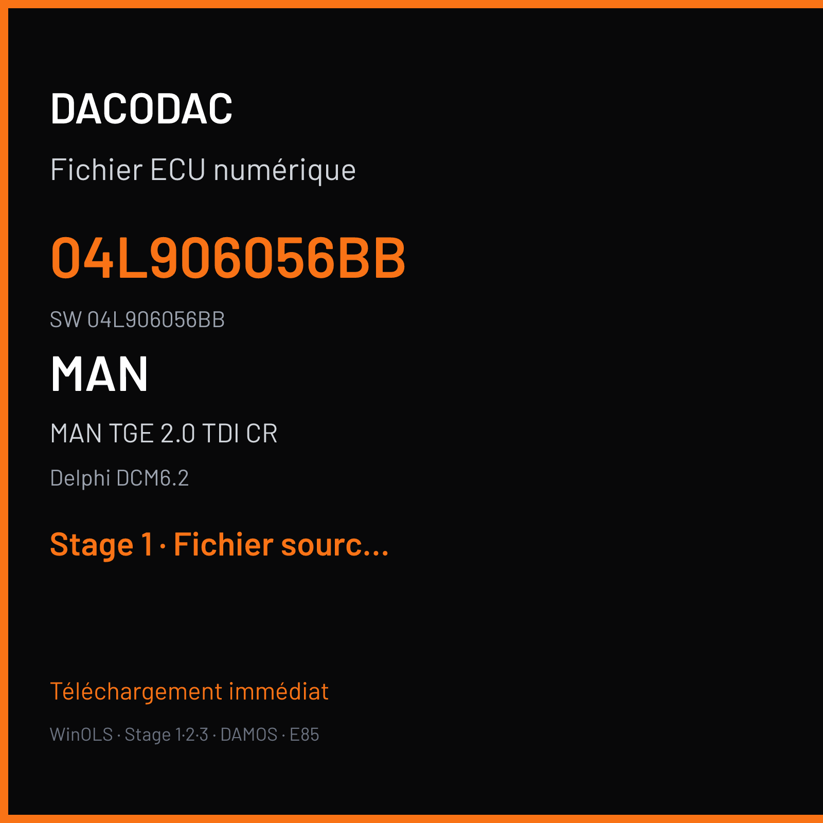 MAN TGE 2.0 TDI CR 177 ch (2019) — Delphi DCM6.2 — 04L906056BB · 04L906056BB · FA8TCABBHS04 T804 — Stage 1