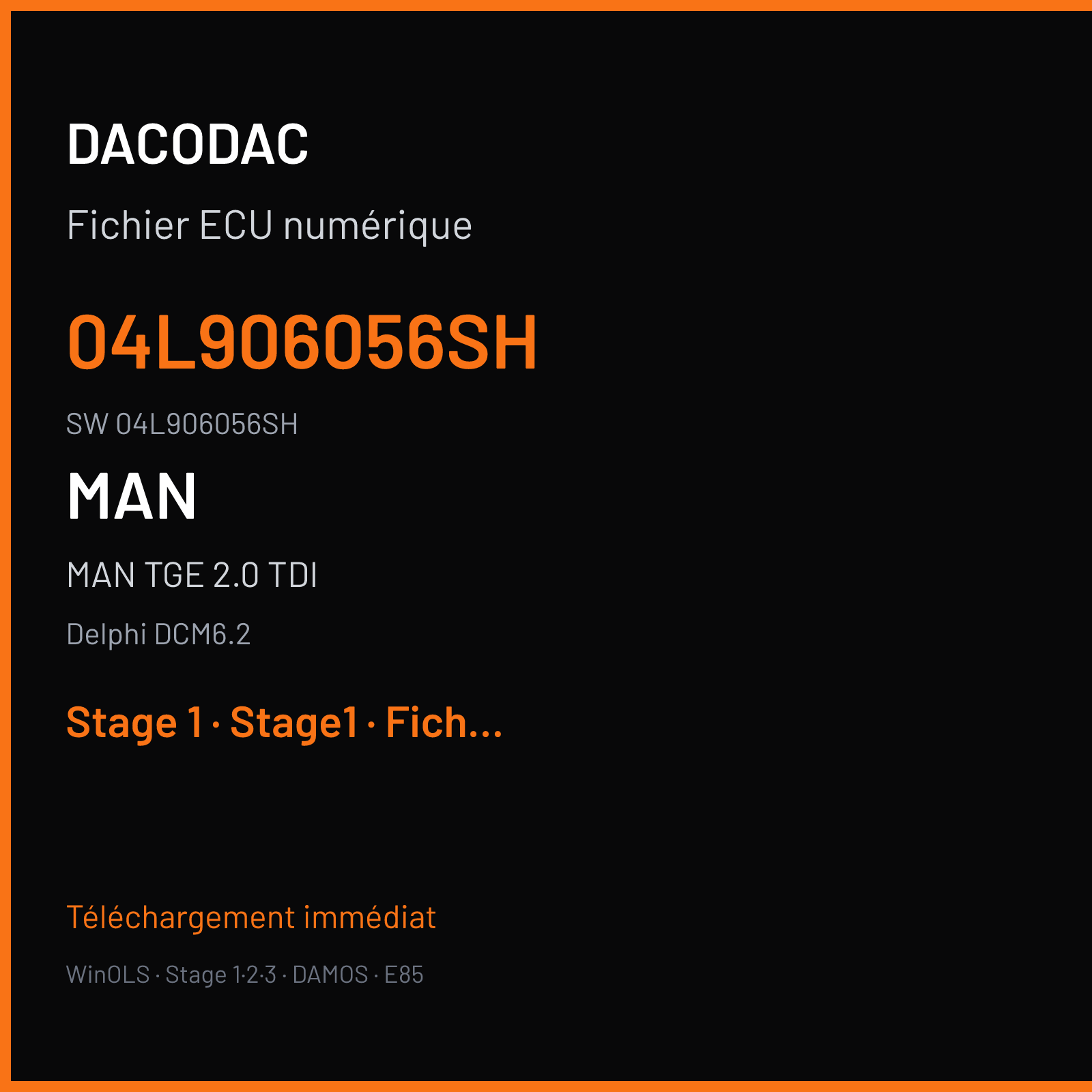 MAN TGE 2.0 TDI 177 ch (2021) — Delphi DCM6.2 — 04L906056SH · 04L906056SH · 9970 FM45CADHKS05 X943 — Stage 1
