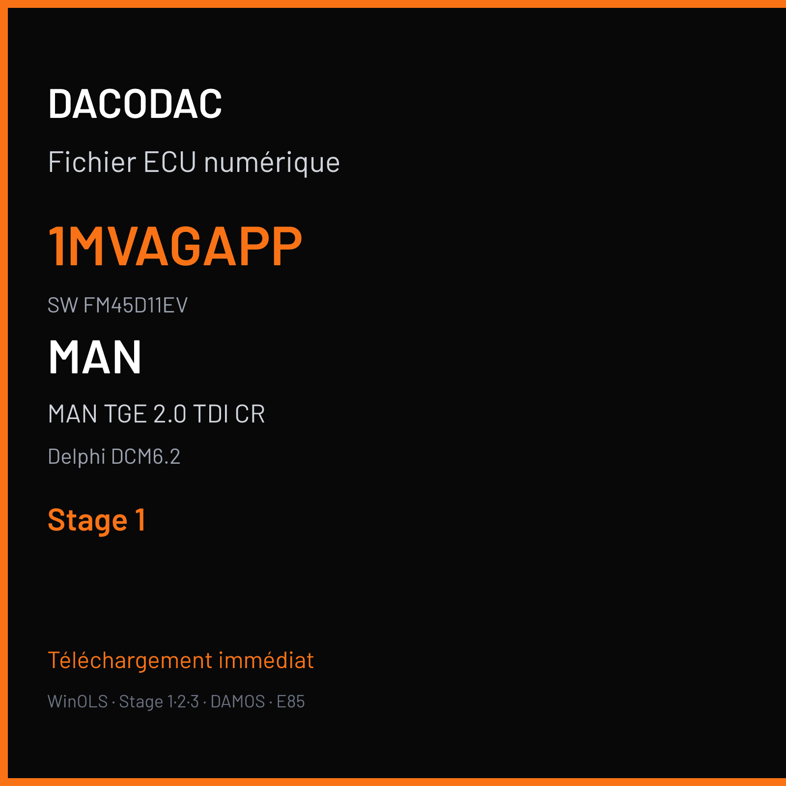 MAN TGE 2.0 TDI CR 140 ch (2017) — Delphi DCM6.2 — 1MVAGAPP · FM45D11EV · ECM20TDI03004L906056PD 04L906056PD FM45CAQHKS07 X045 — Stage 1
