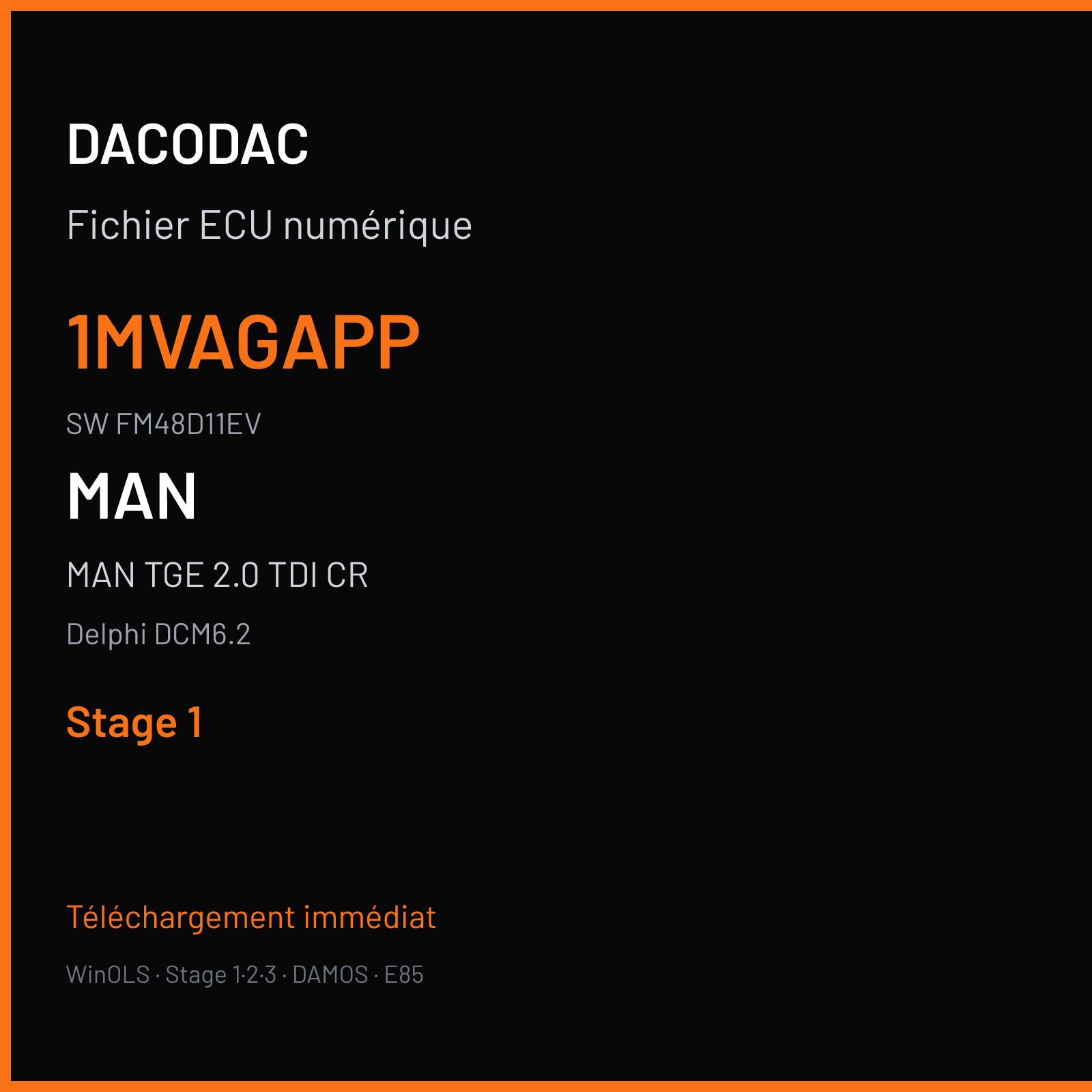 MAN TGE 2.0 TDI CR 177 ch (2021) — Delphi DCM6.2 — 1MVAGAPP · FM48D11EV · ECM20BTD03004L906056SH 04L906056SH — Stage 1