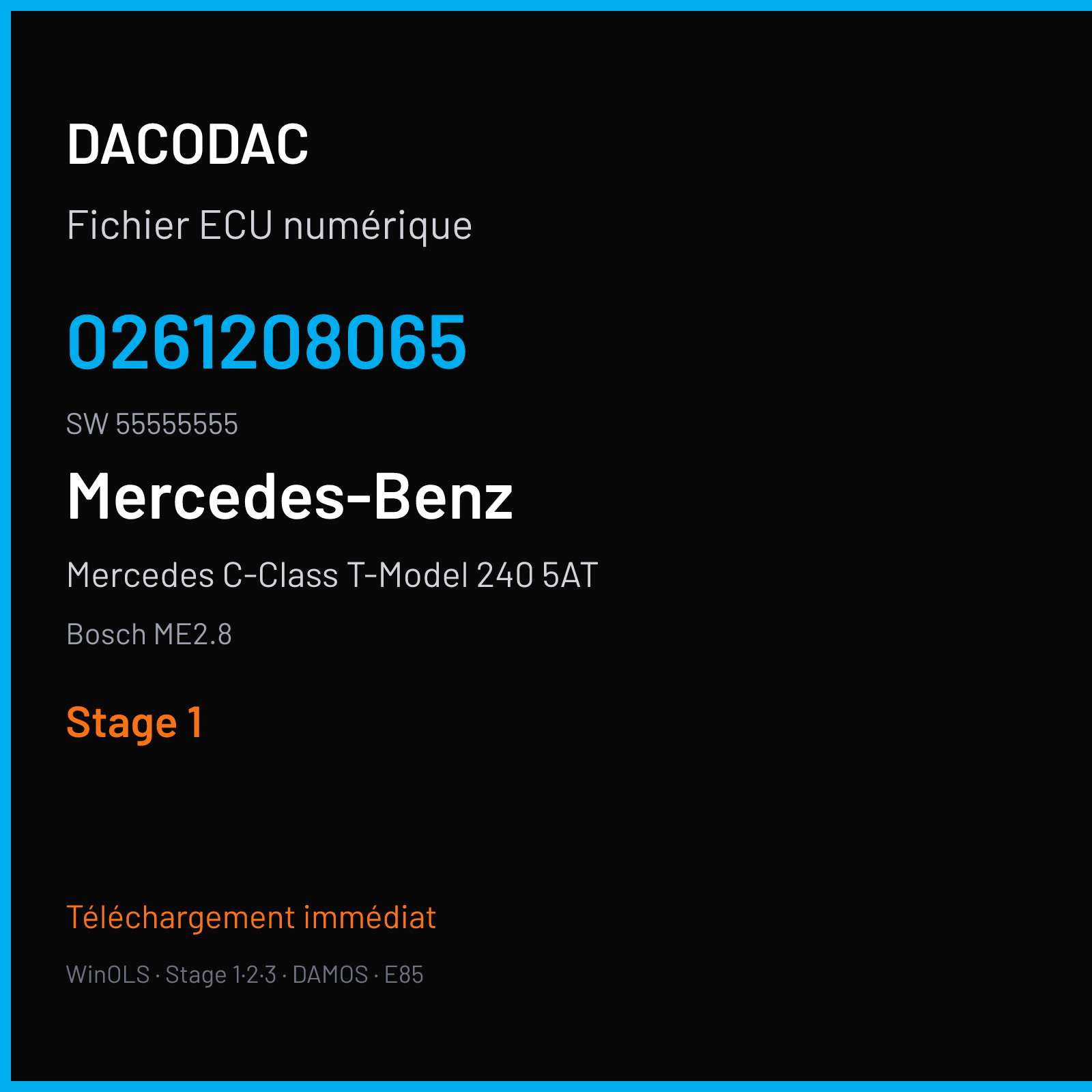Mercedes C-Class T-Model 240 5AT 172 ch (2004) — Bosch ME2.8 — 0261208065 · 55555555 · 365024 — Stage 1