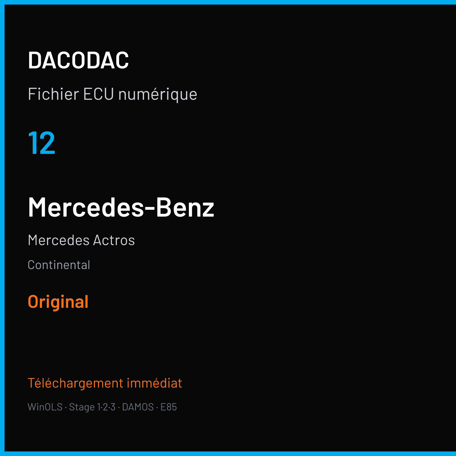 Mercedes Actros (2018) — Continental — 12 — Original
