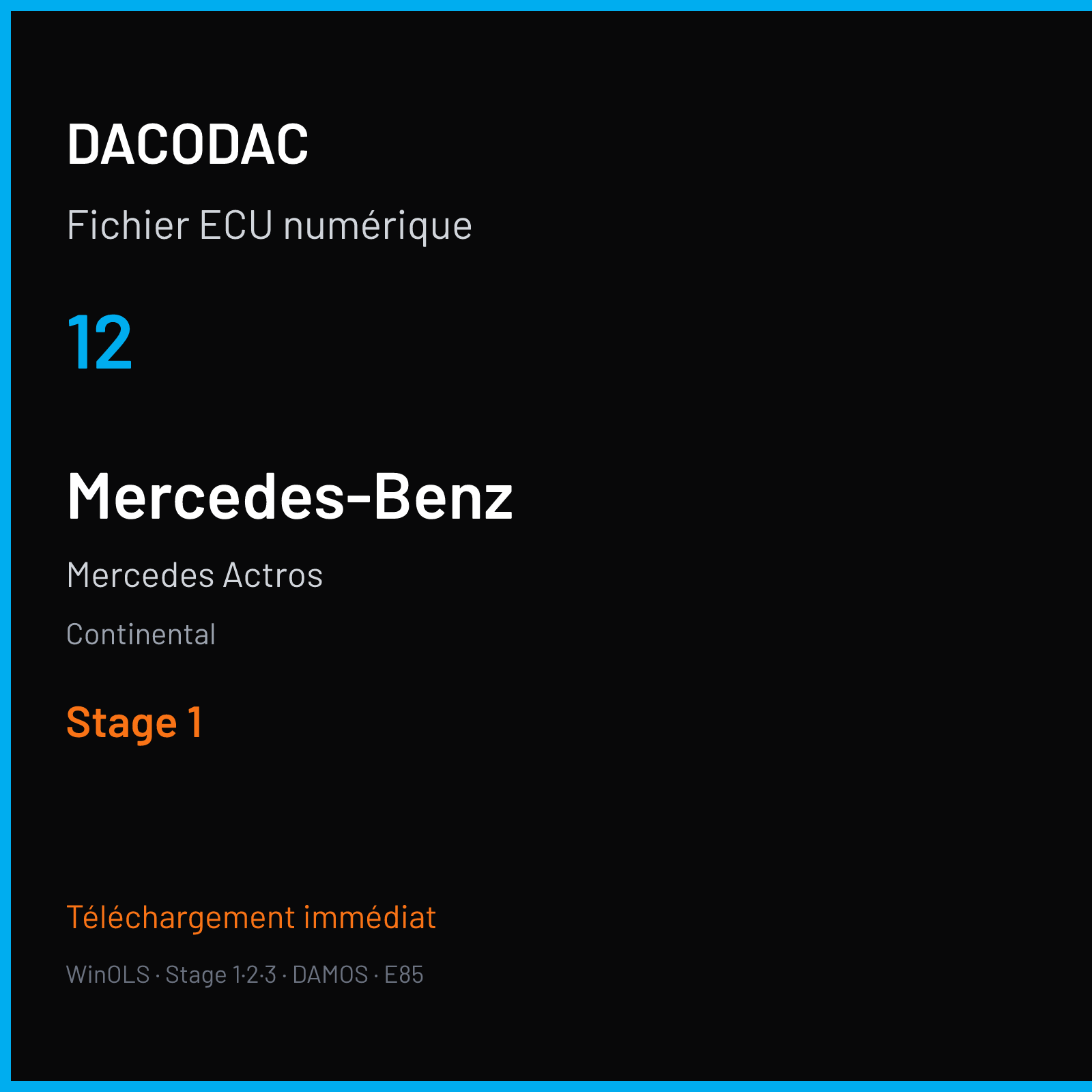 Mercedes Actros (2018) — Continental — 12 — Stage 1