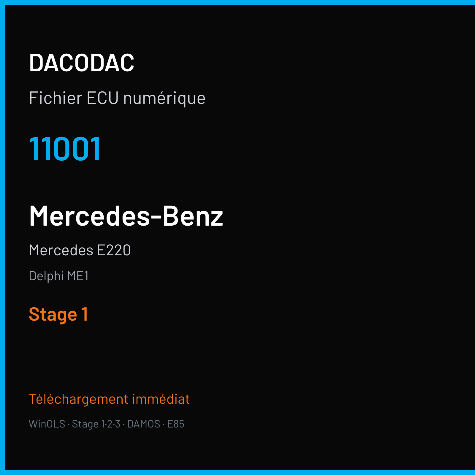 Mercedes E220 (2011) — Delphi ME1 — 11001 — Stage 1