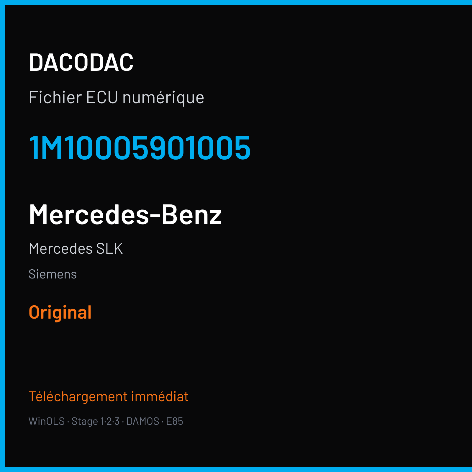 Mercedes SLK (2005) — Siemens — 1M10005901005 — Original