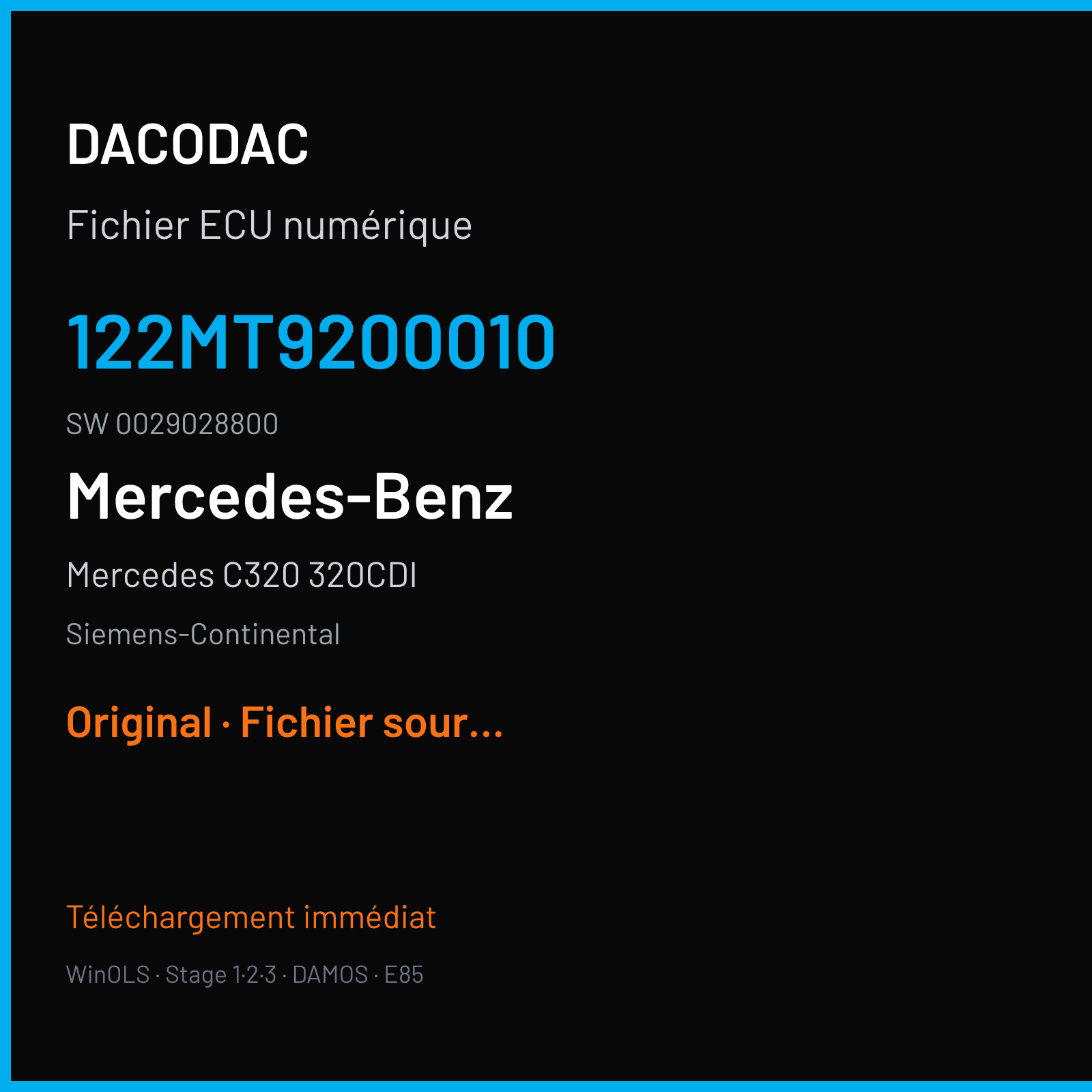Mercedes C320 320CDI 224 ch (2008) — Siemens-Continental — 122MT9200010 · 0029028800 · VGS3 — Original