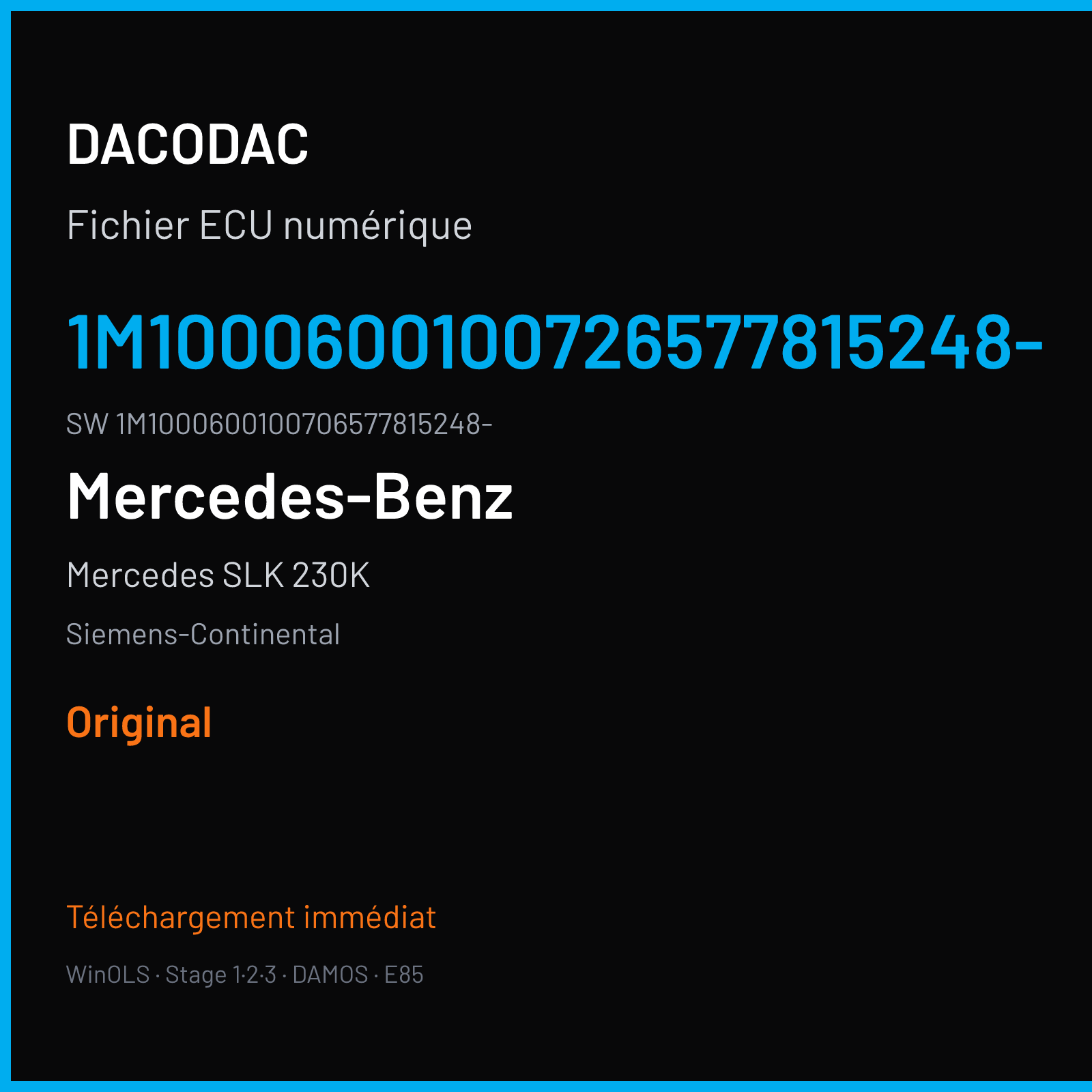 Mercedes SLK 230K 197 ch (2002) — Siemens-Continental — 1M1000600100726577815248- · 1M1000600100706577815248- · M100060010070 Undefined — Original